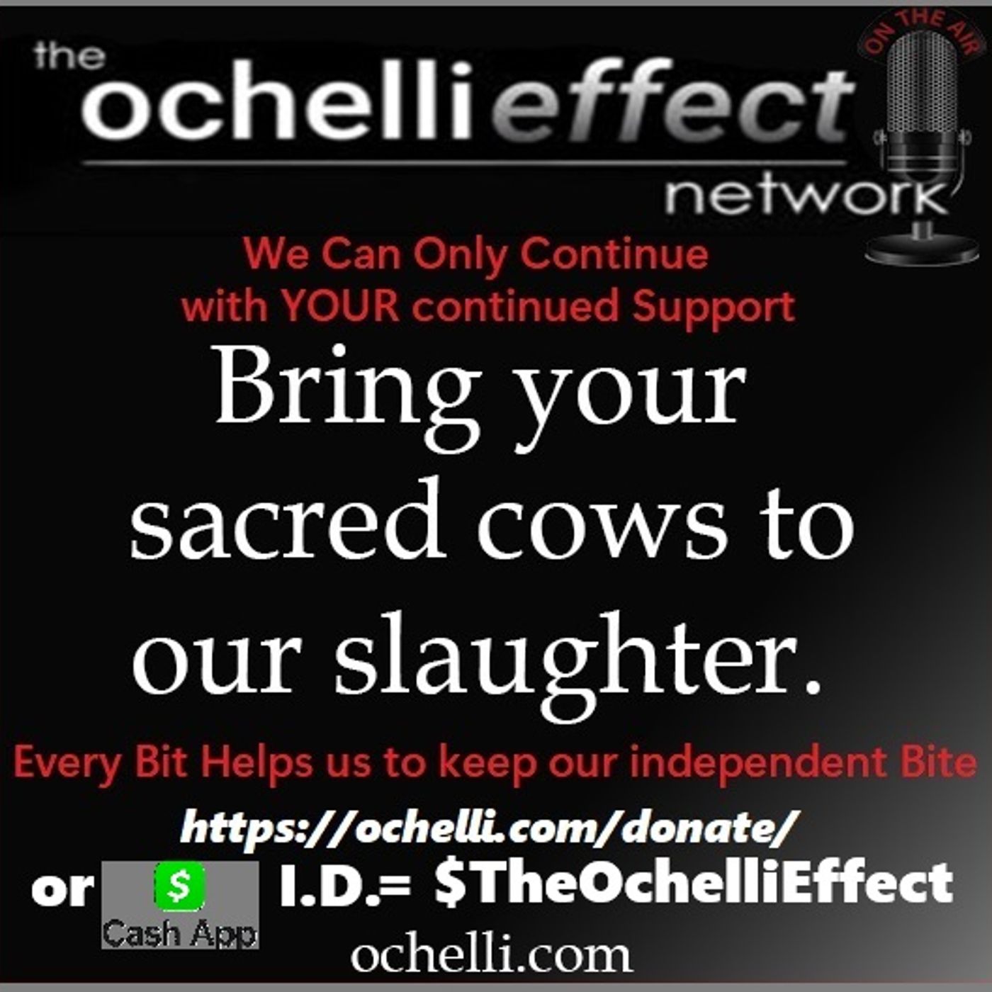 The Ochelli Effect 4-24-2026 Friday Open Mic with B Pete