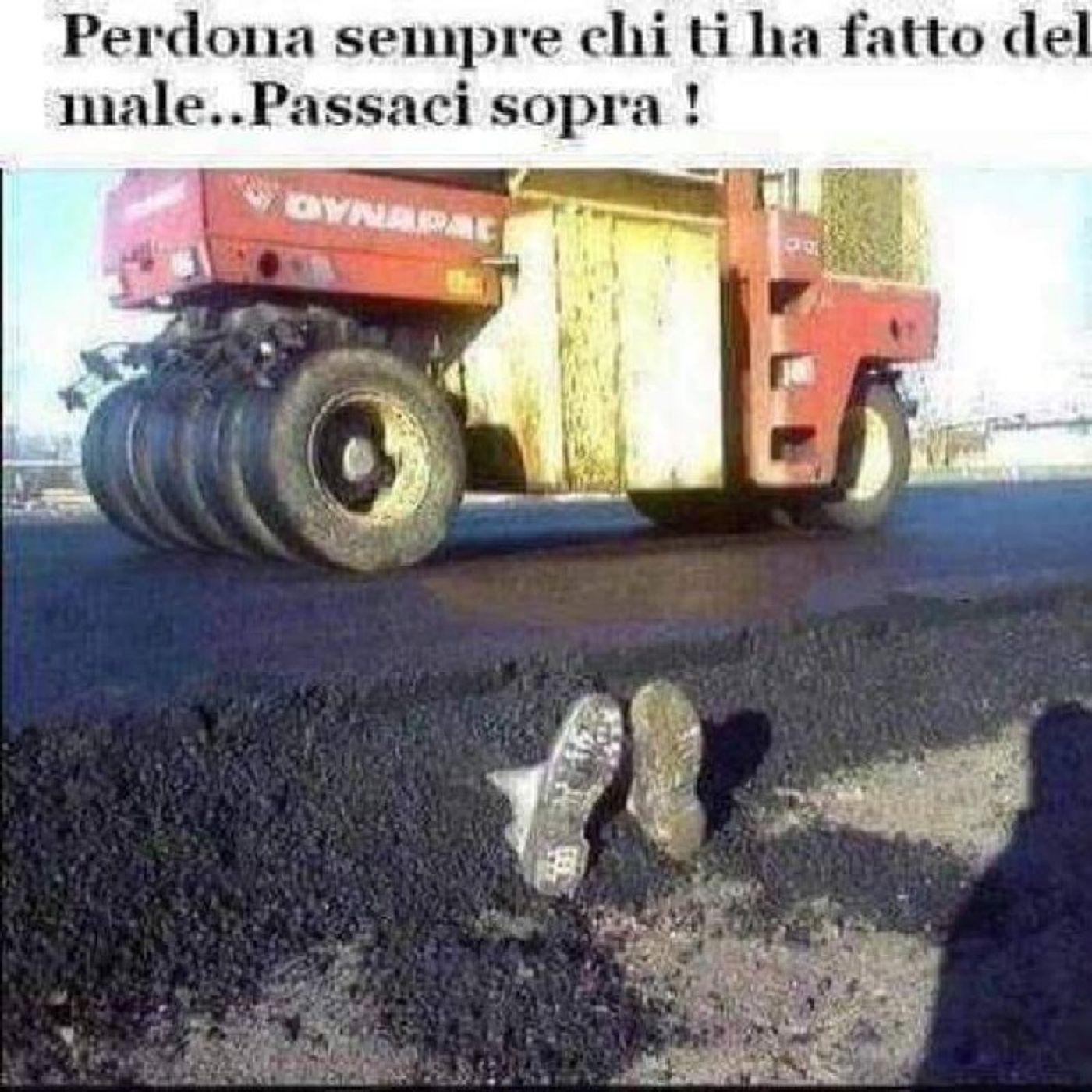 Autodidatta