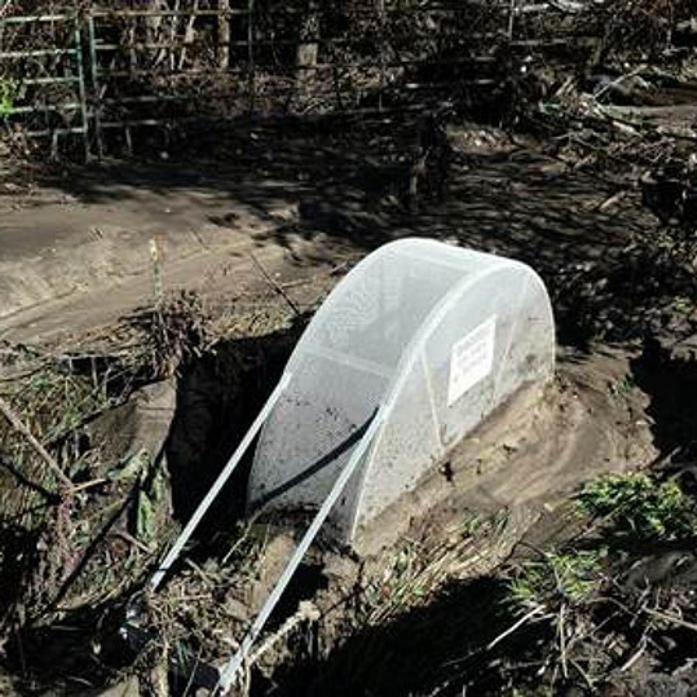 Flash Floods Create Unusual Problem For Farmers, Fish episode artwork