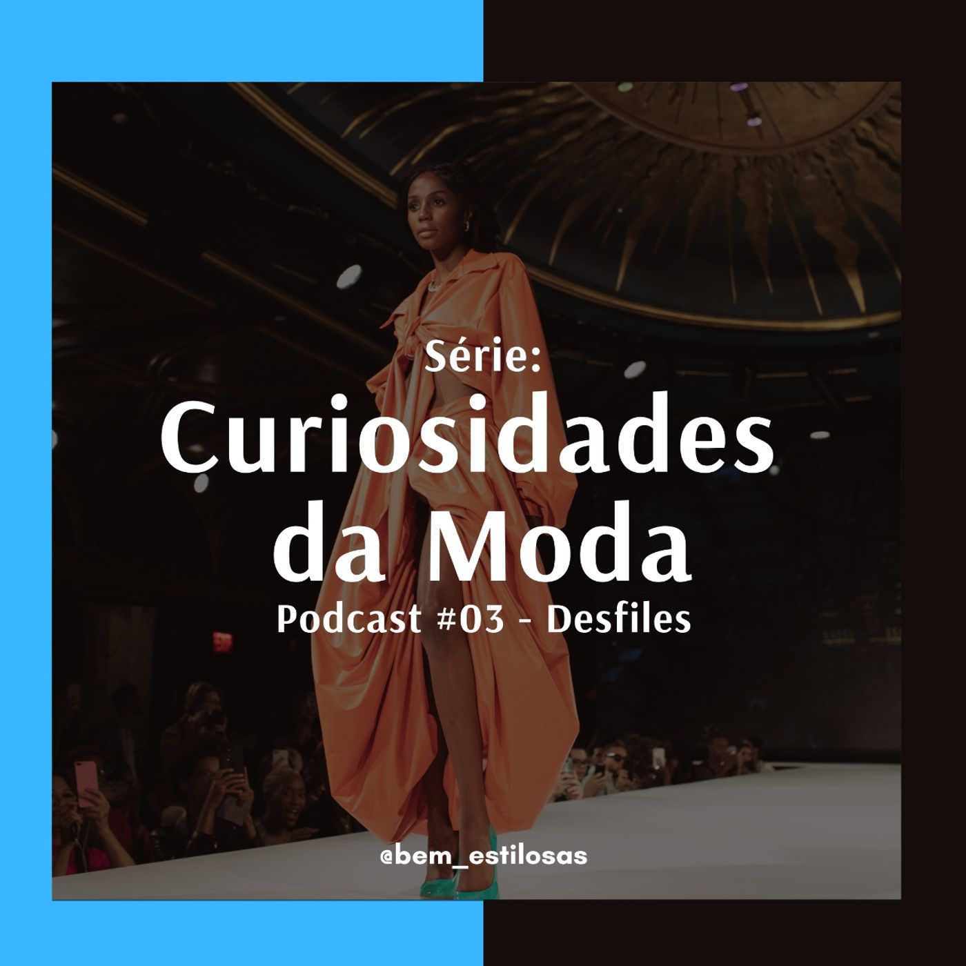 Curiosidades da Moda #3 - Desfiles de Moda
