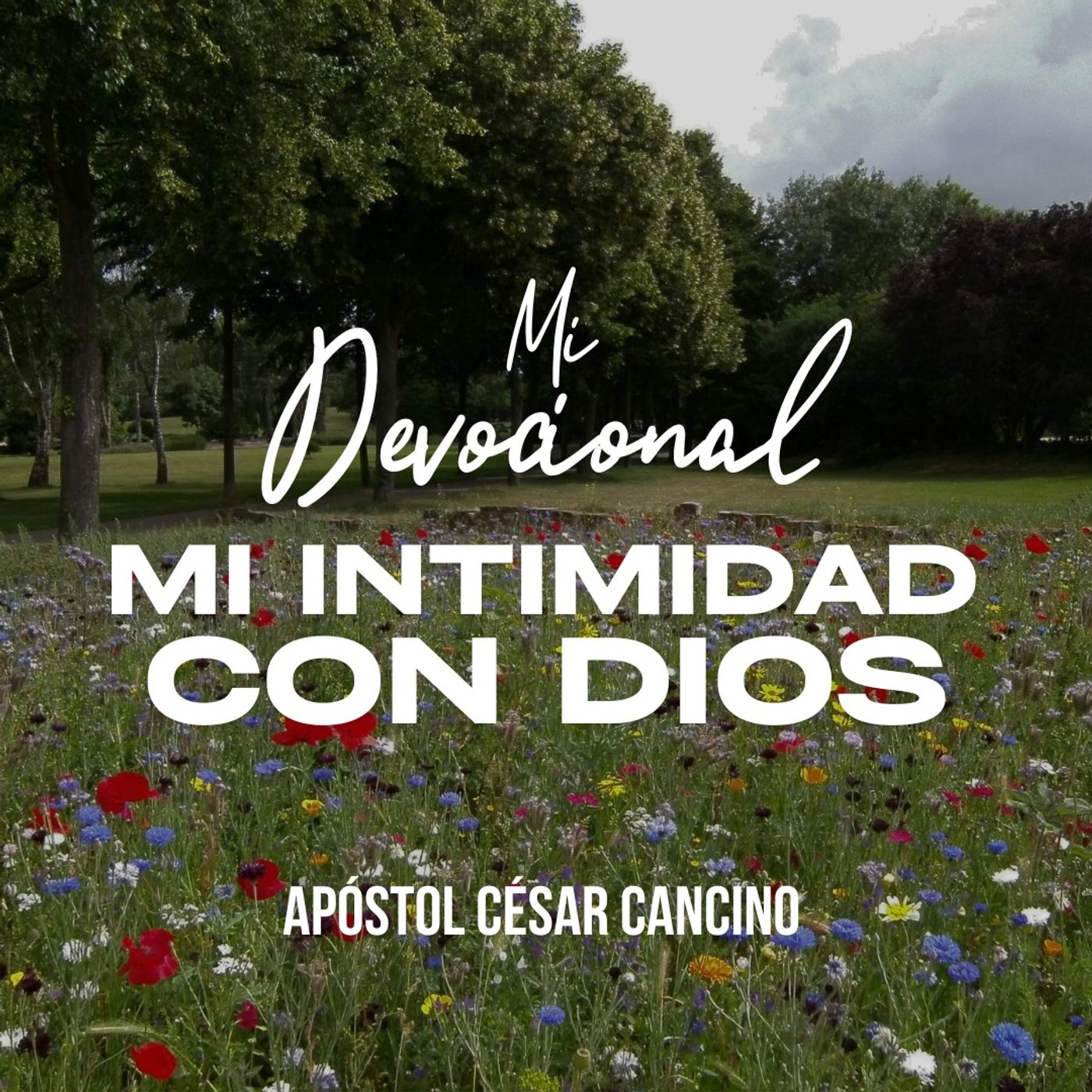 Portada de Ministerio Internacional La Gran Roca Red Global.