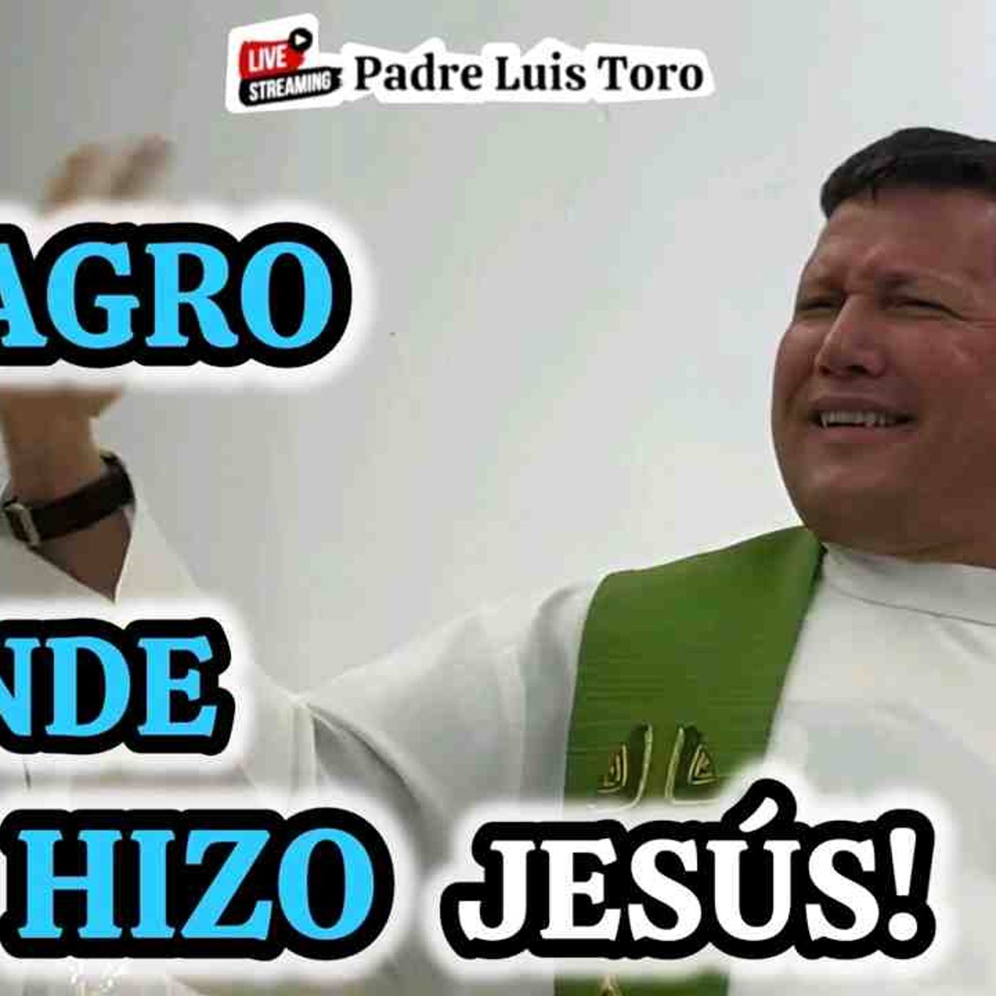 20-26_ Lo MEJOR que Nos DEJÓ JESÚS a los Católicos_ Padre LUIS TORO episode artwork