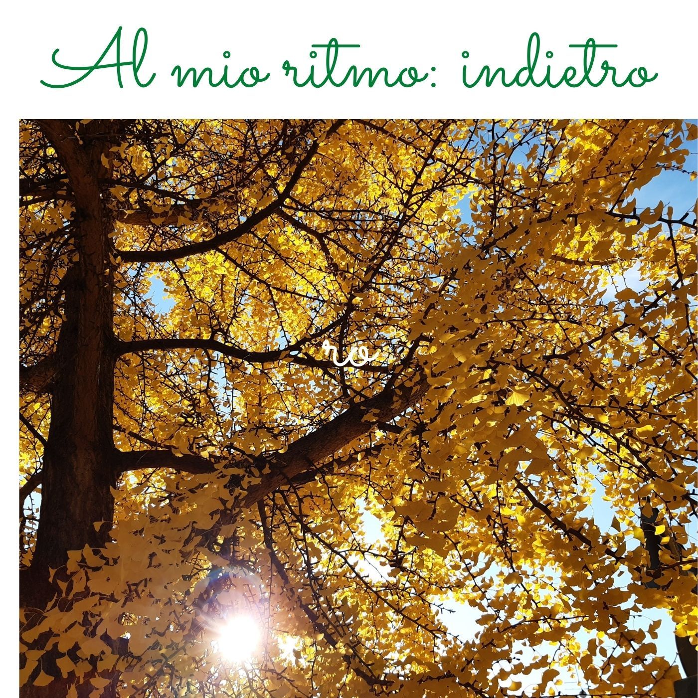 Startbene Meditazione 15 minuti