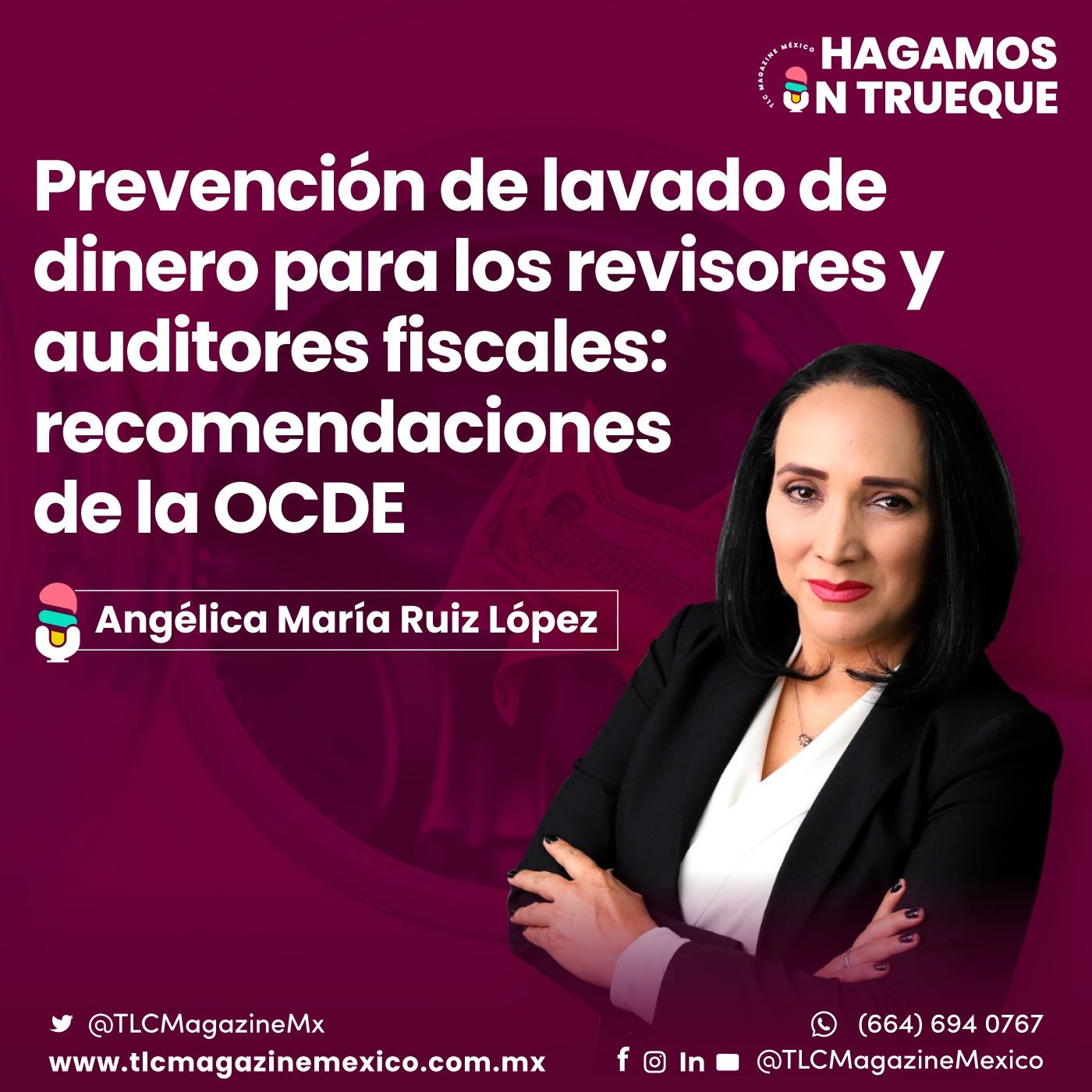 Episodio 59. Prevención de lavado de dinero para los revisores y auditores fiscales: recomendaciones de la OCDE episode artwork