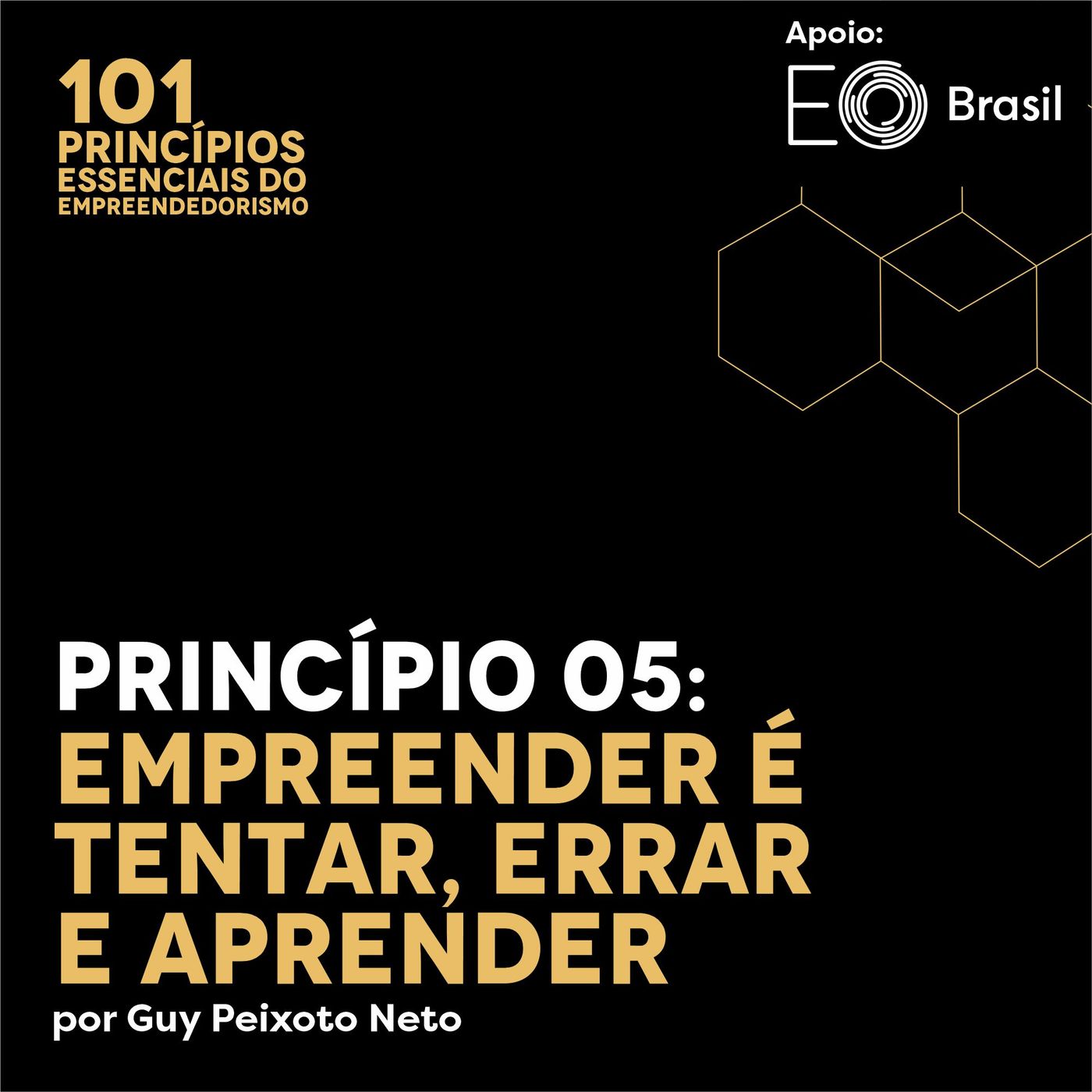 101 Princípios Essenciais do Empreendedorismo
