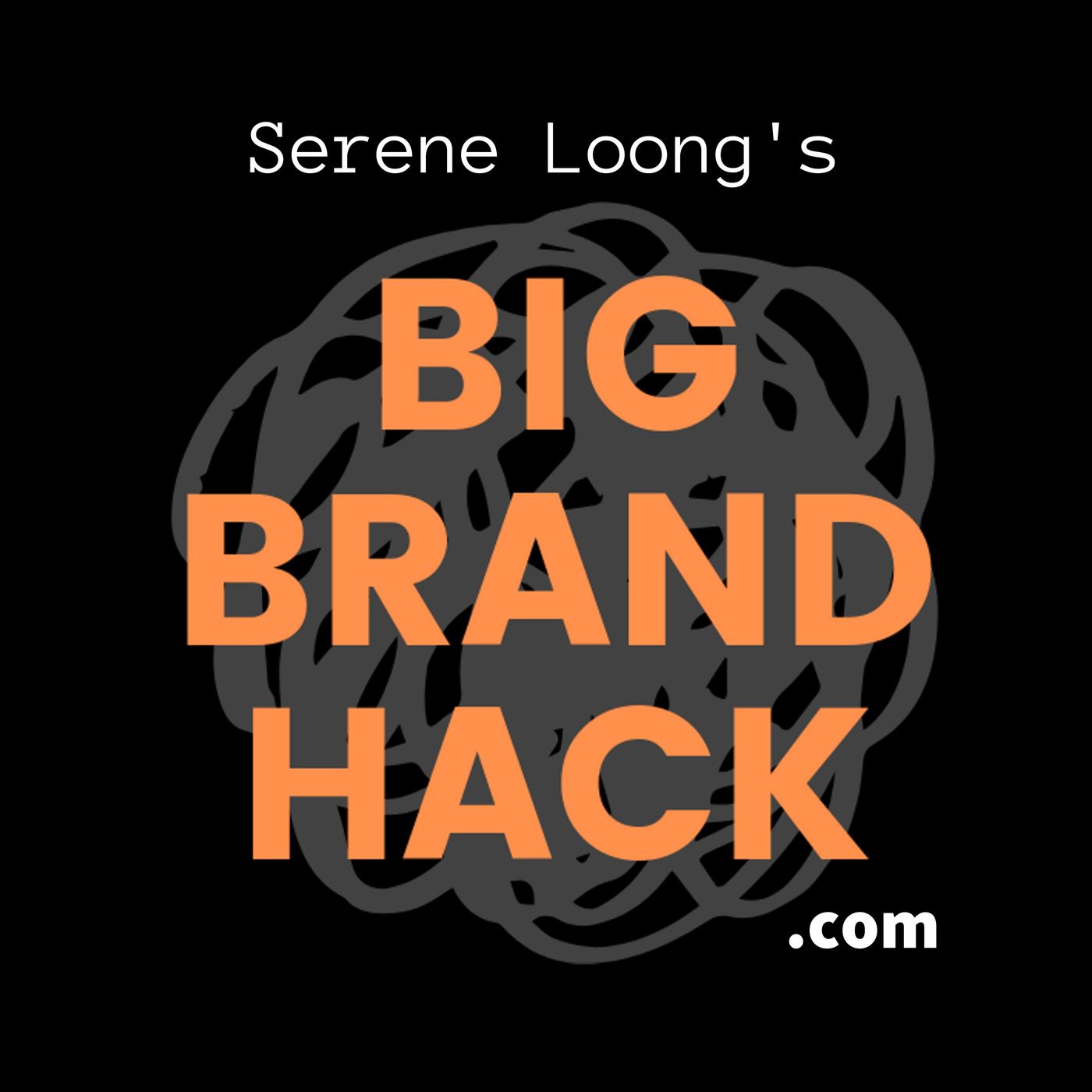 Big Brand Hack cover art