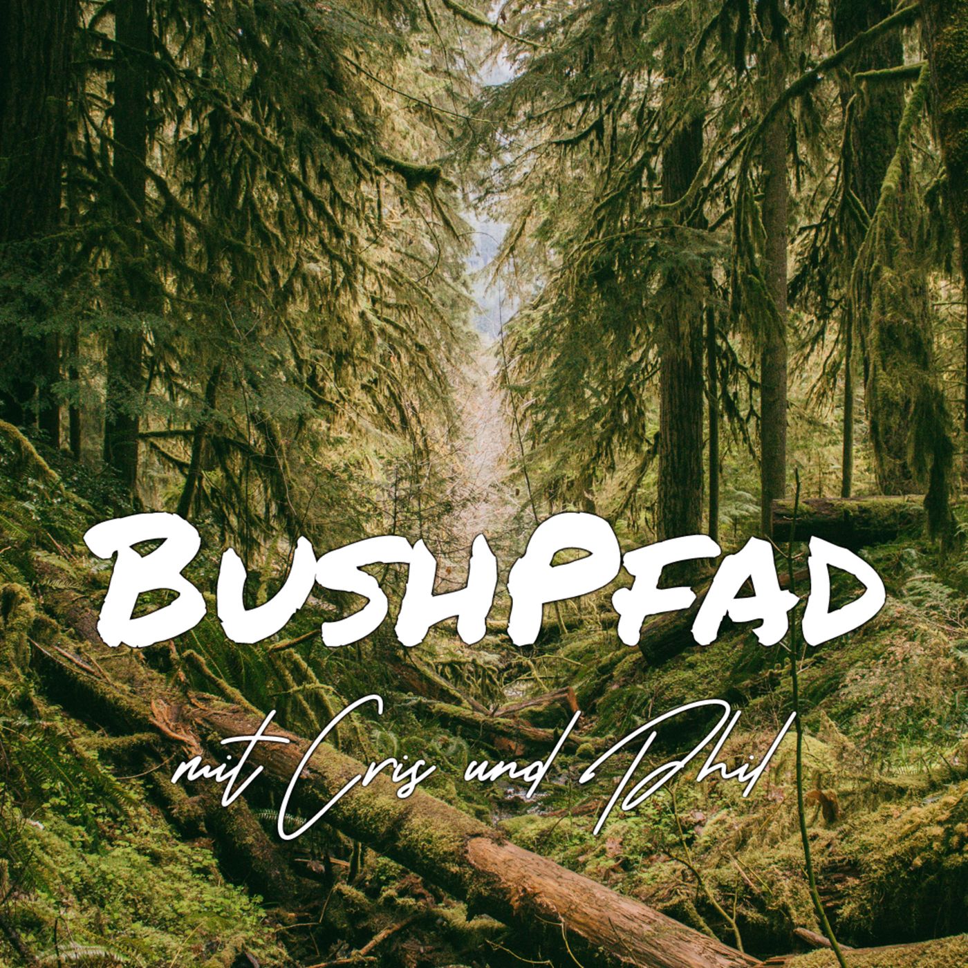 #3 Biwak und Trekking Touren - Trekking/Survival/Bushcraft