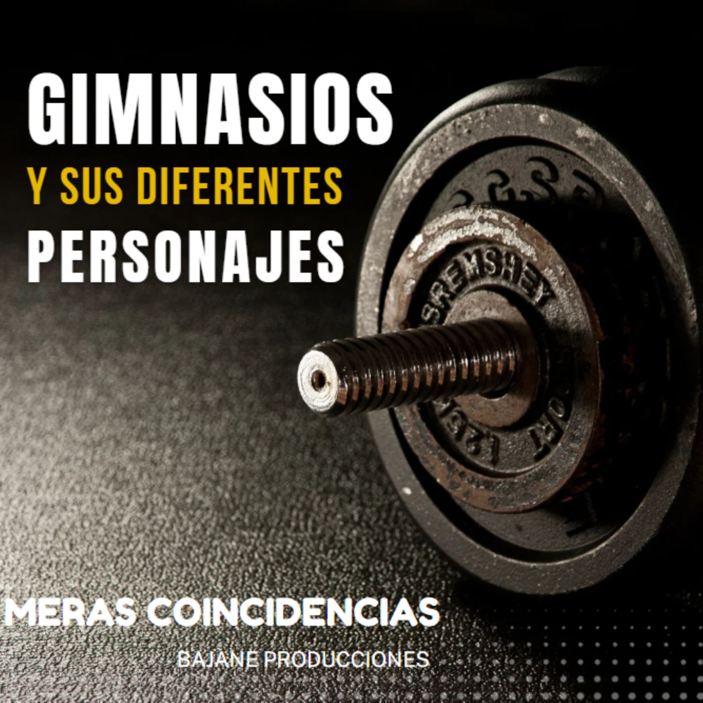 Meras coincidencias