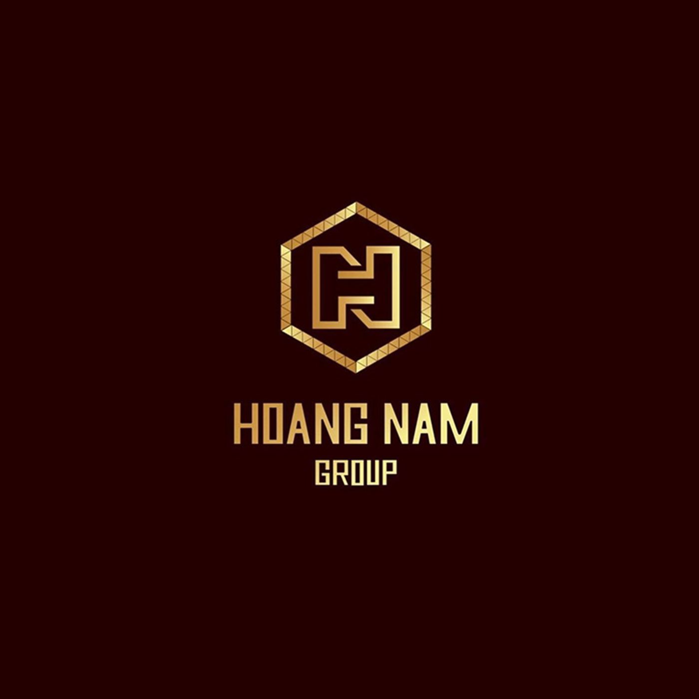 Hoàng Nam Group