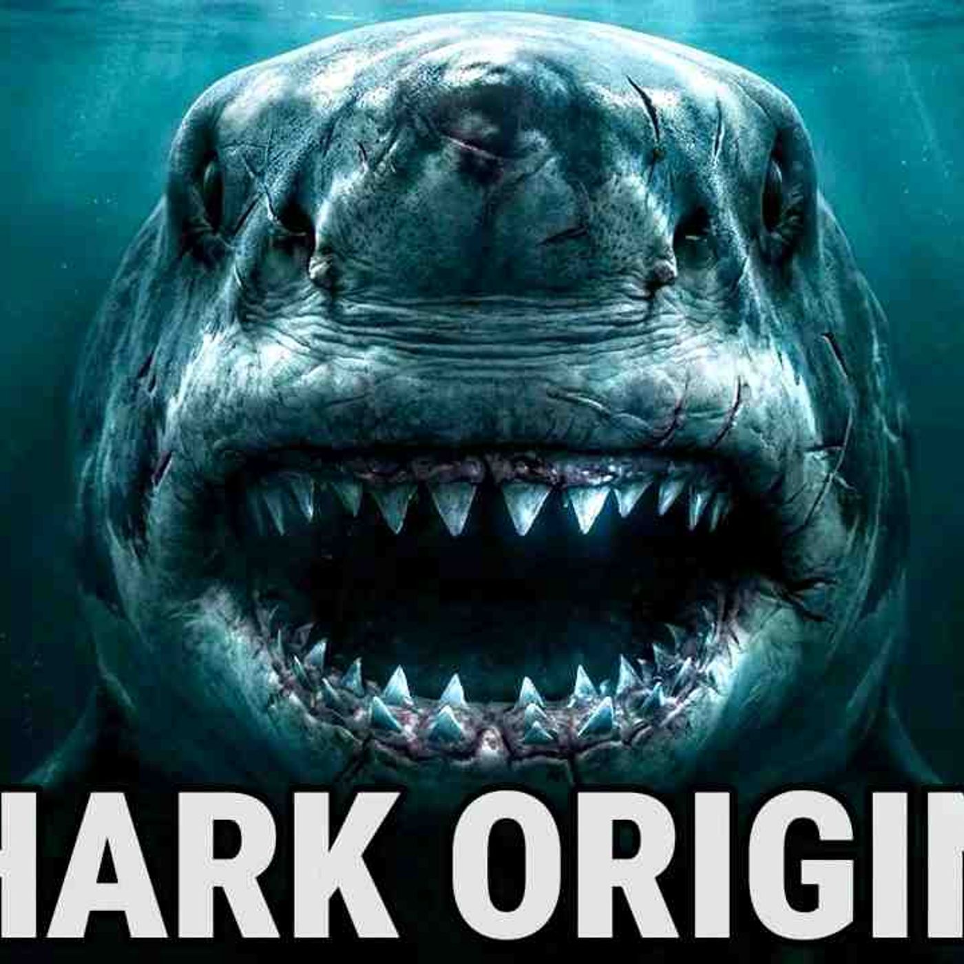 First Sharks _ The 450‐Million‐Year Journey of the Ocean_s Oldest Predator episode artwork