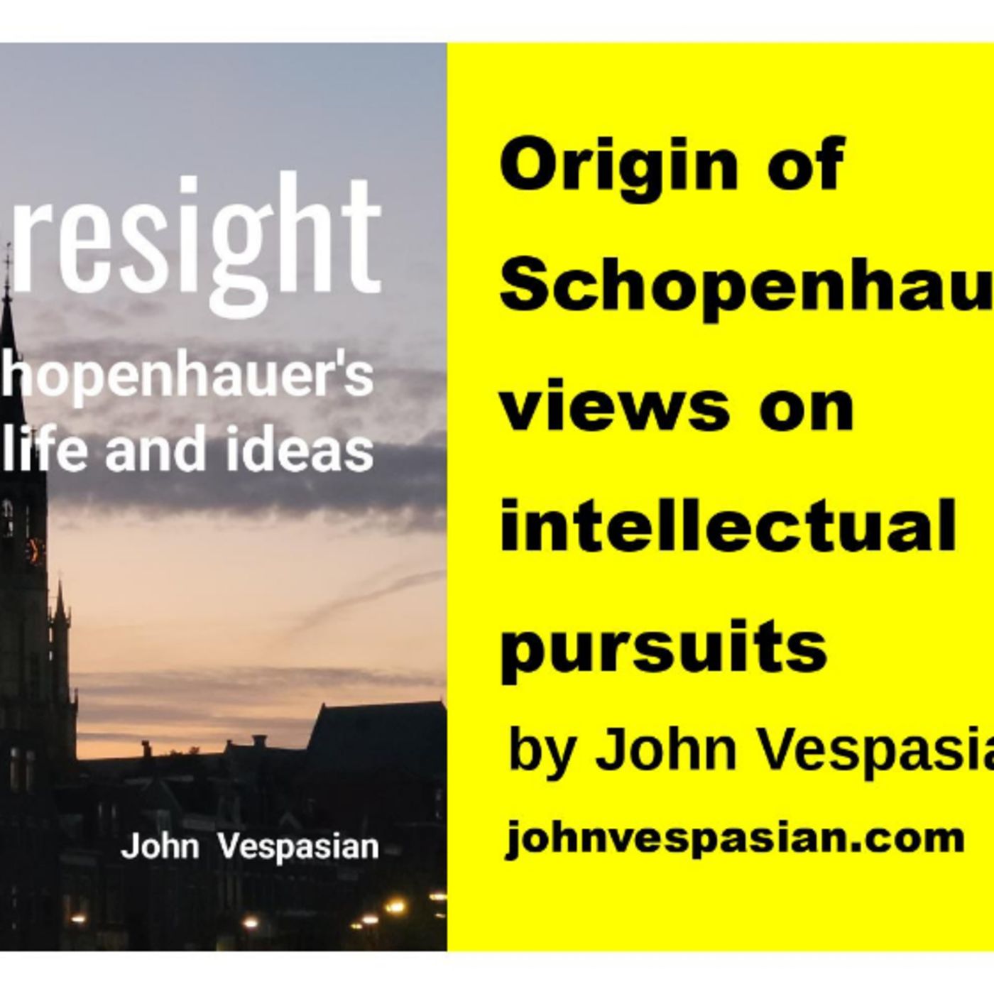Origin of Schopenhauer’s views on intellectual pursuits episode artwork