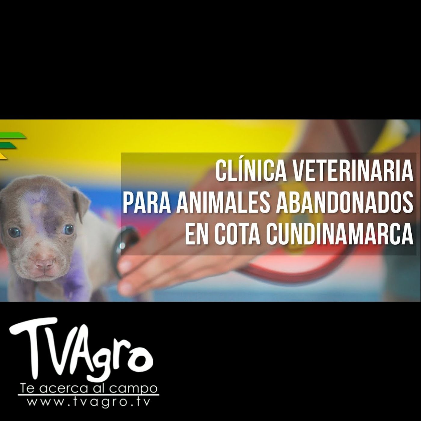 TV AGRO