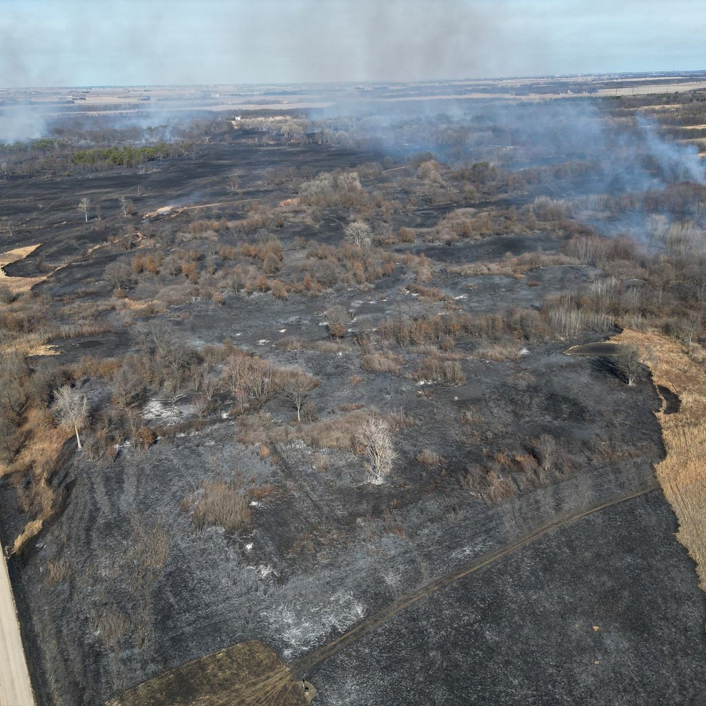 Firefighter charged with arson, accused of setting grass fire that burned 700 acres: Lee County sheriff episode artwork