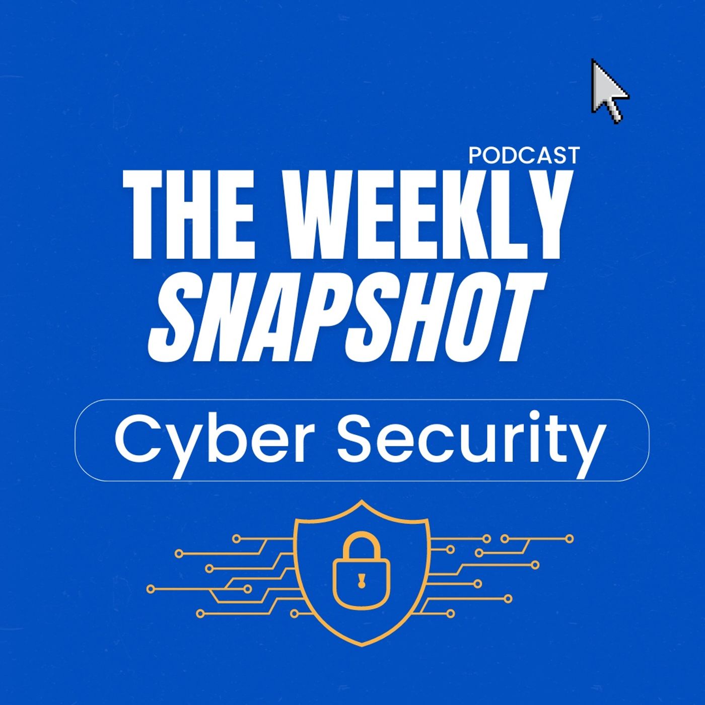 The Weekly Snapshot - Cyber Security