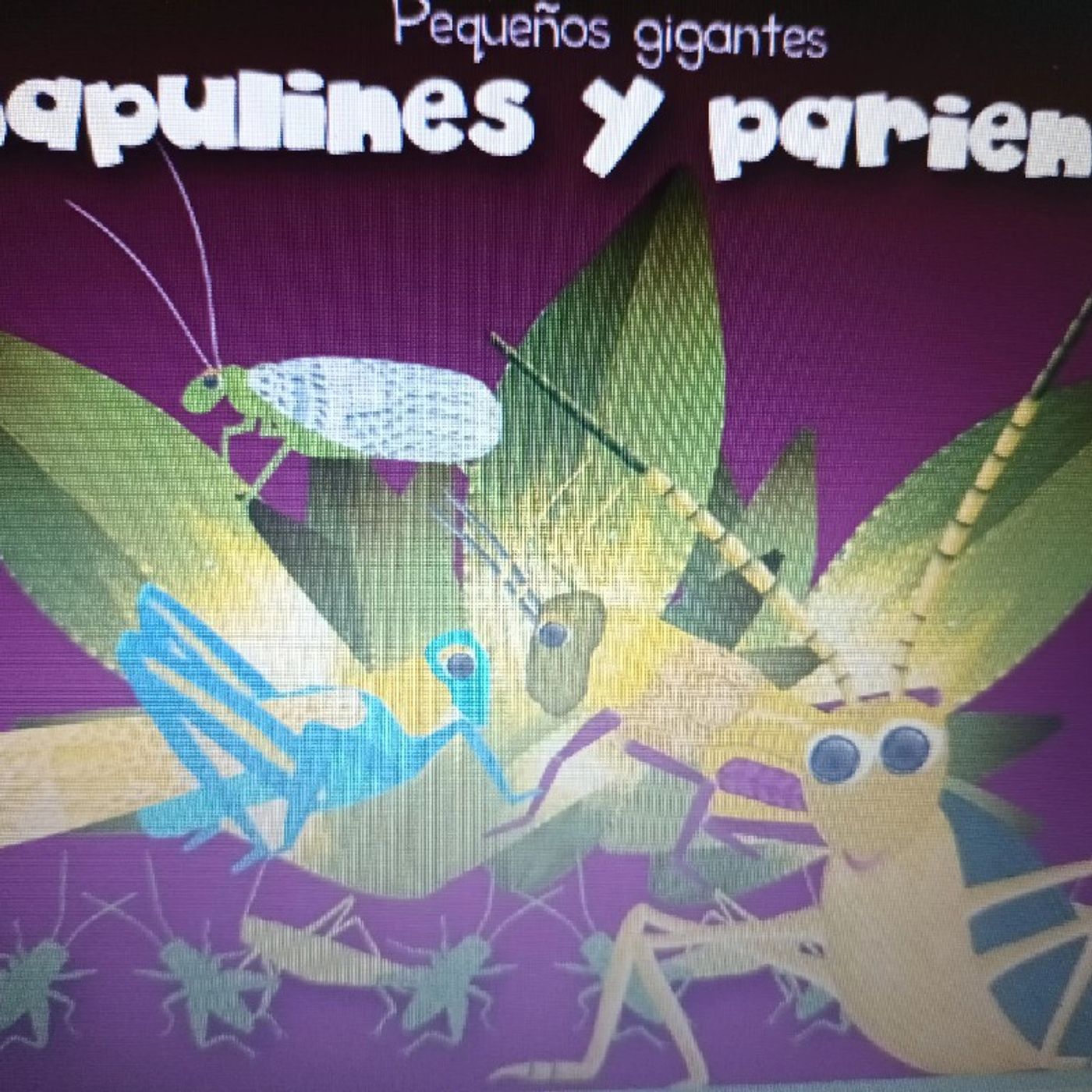 Chapulines y parientes, pequeños gigantes episode artwork