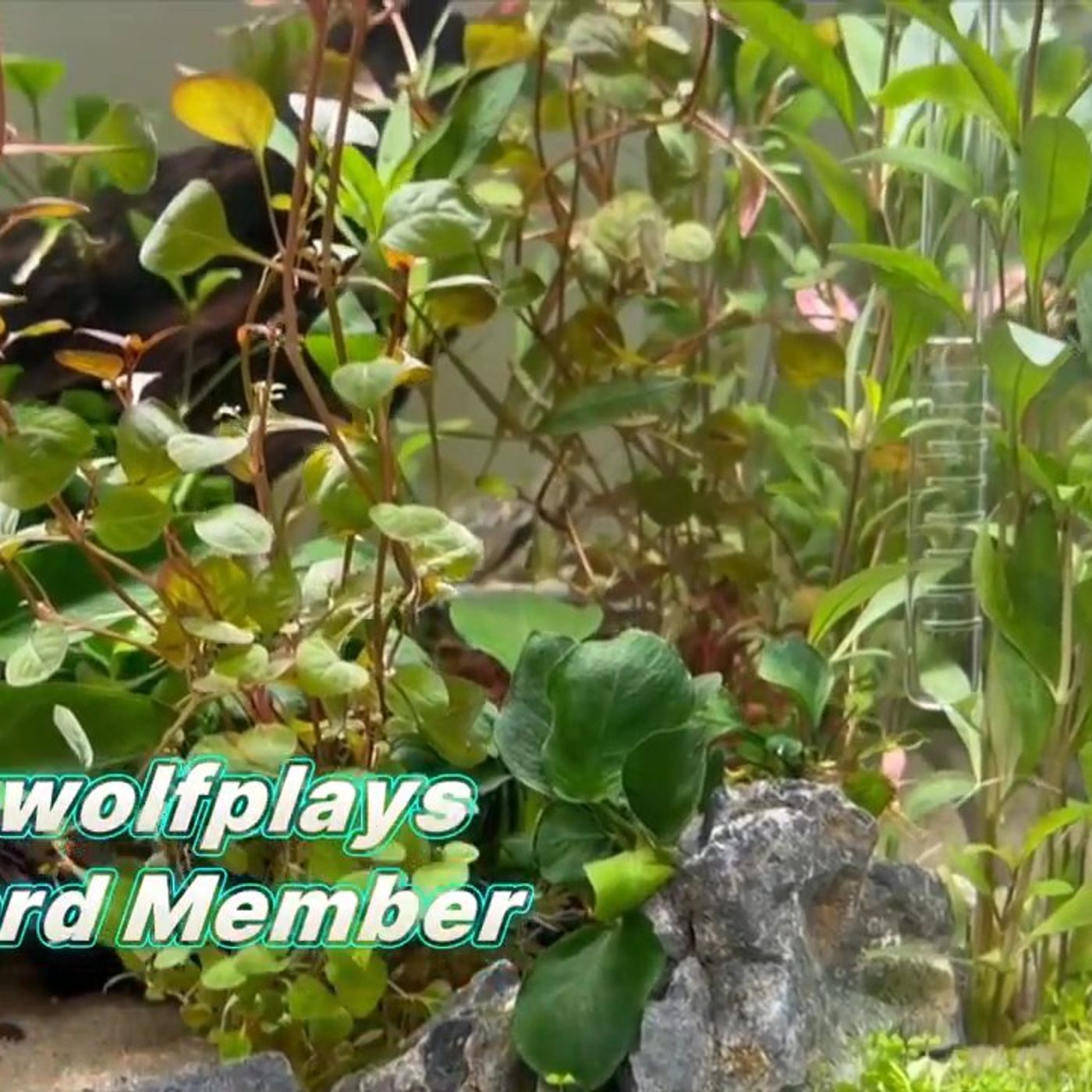 From Beach Sand to Tannins To Algae, this Q&A explores much more