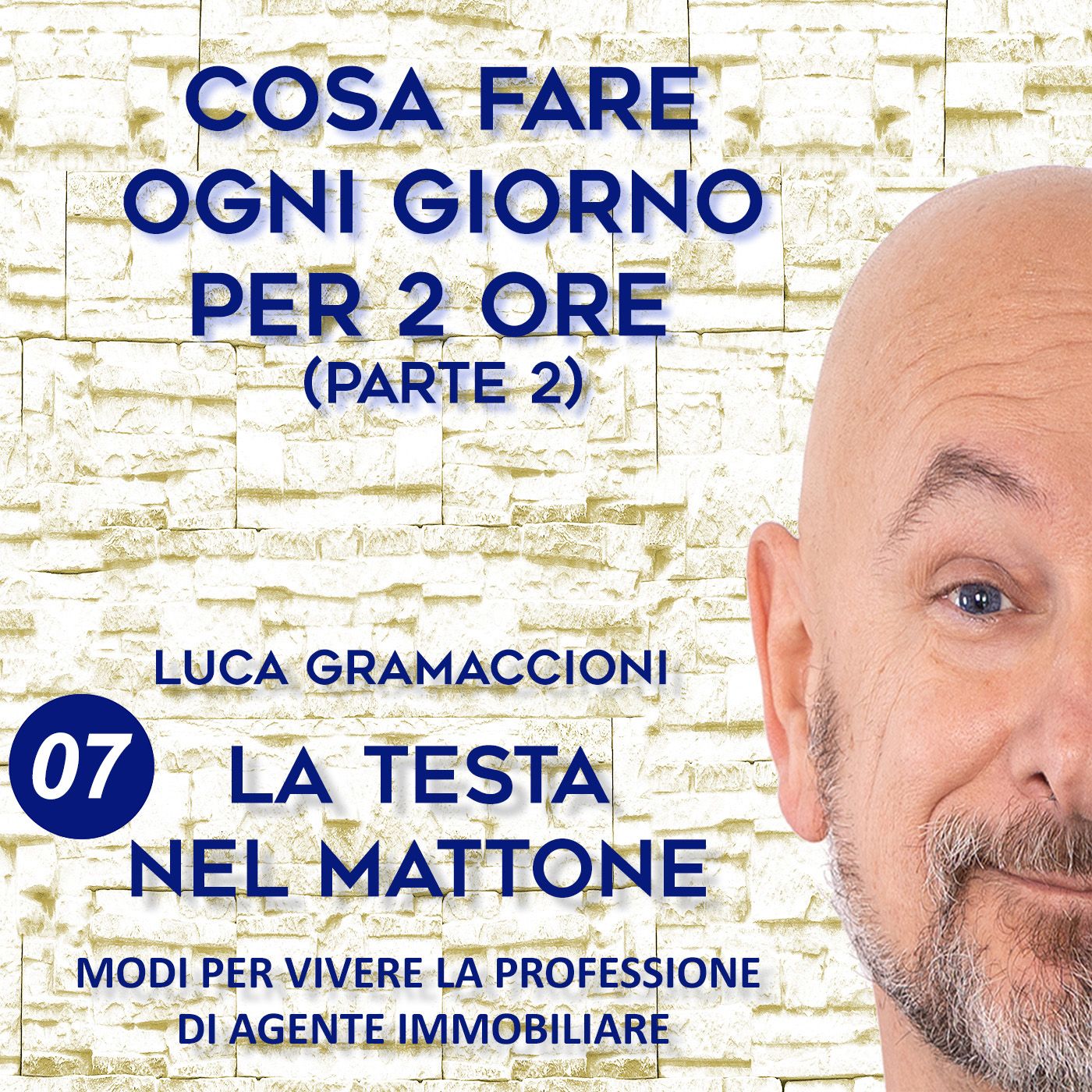 LA TESTA NEL MATTONE