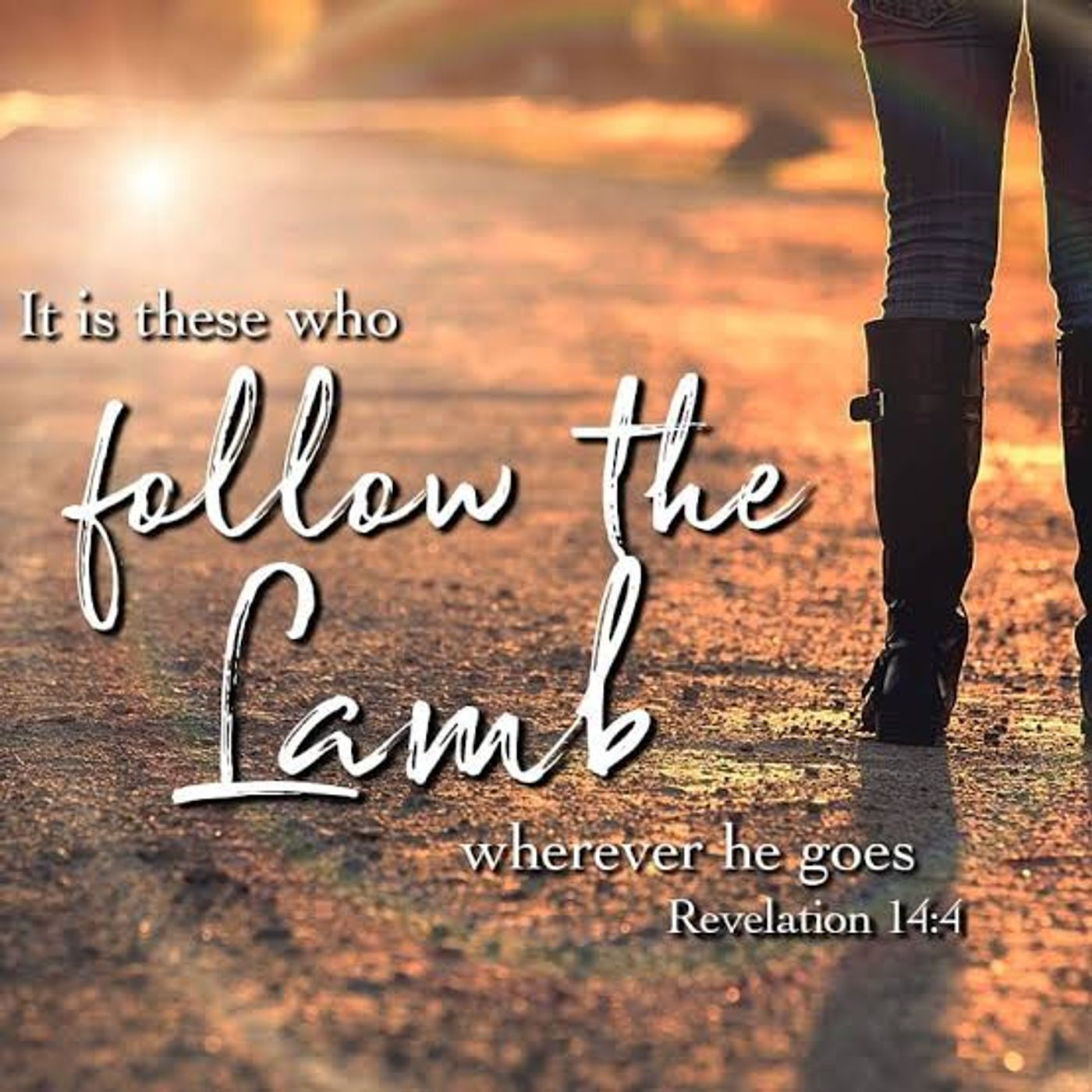 Following the Lamb cover