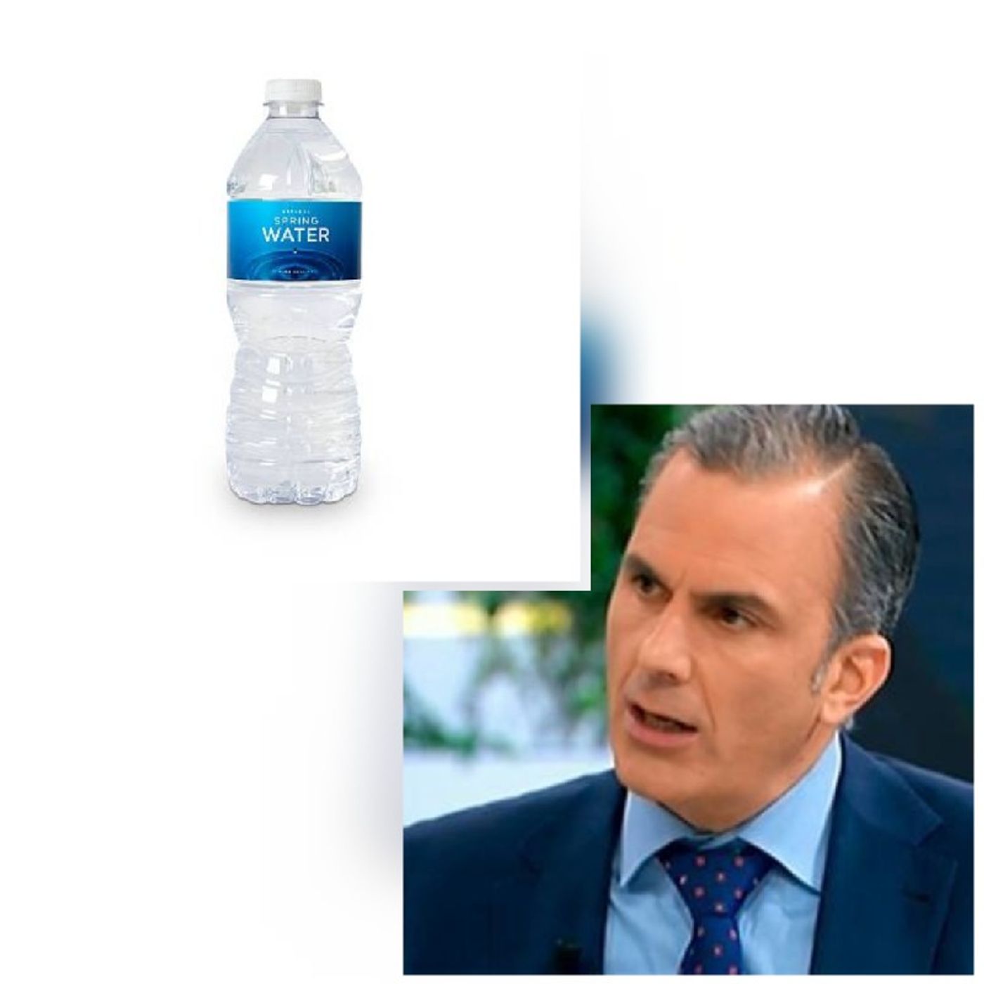 El diario de Pedro