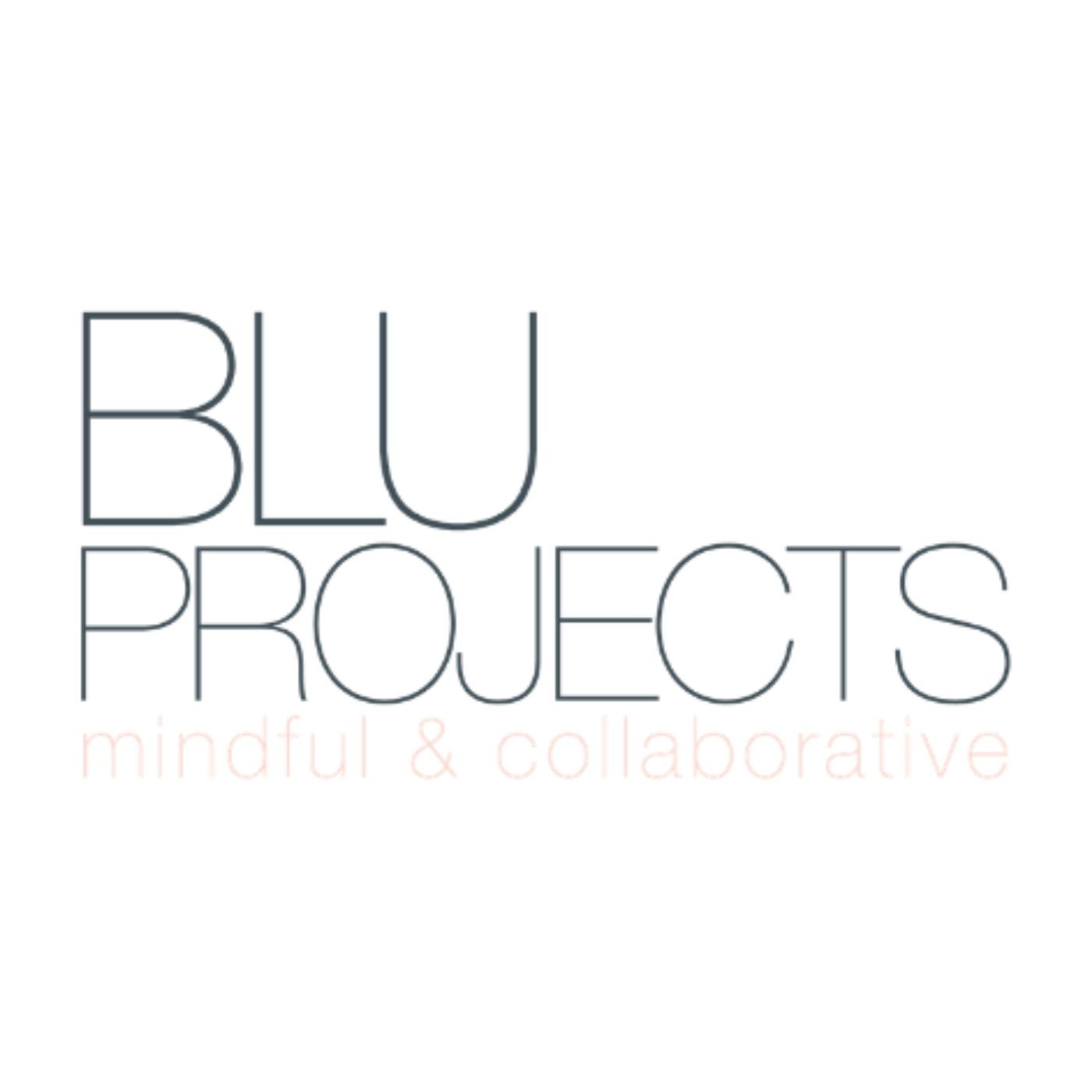 BluProjects