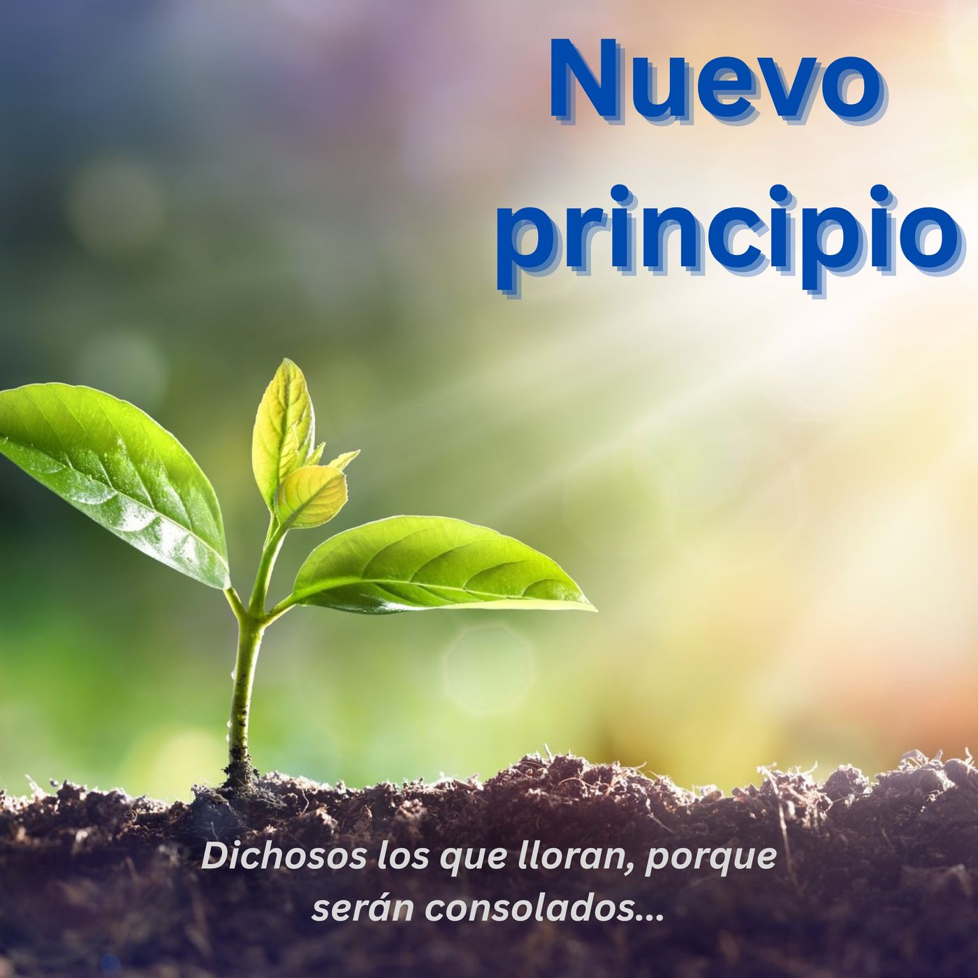 Nuevo principio