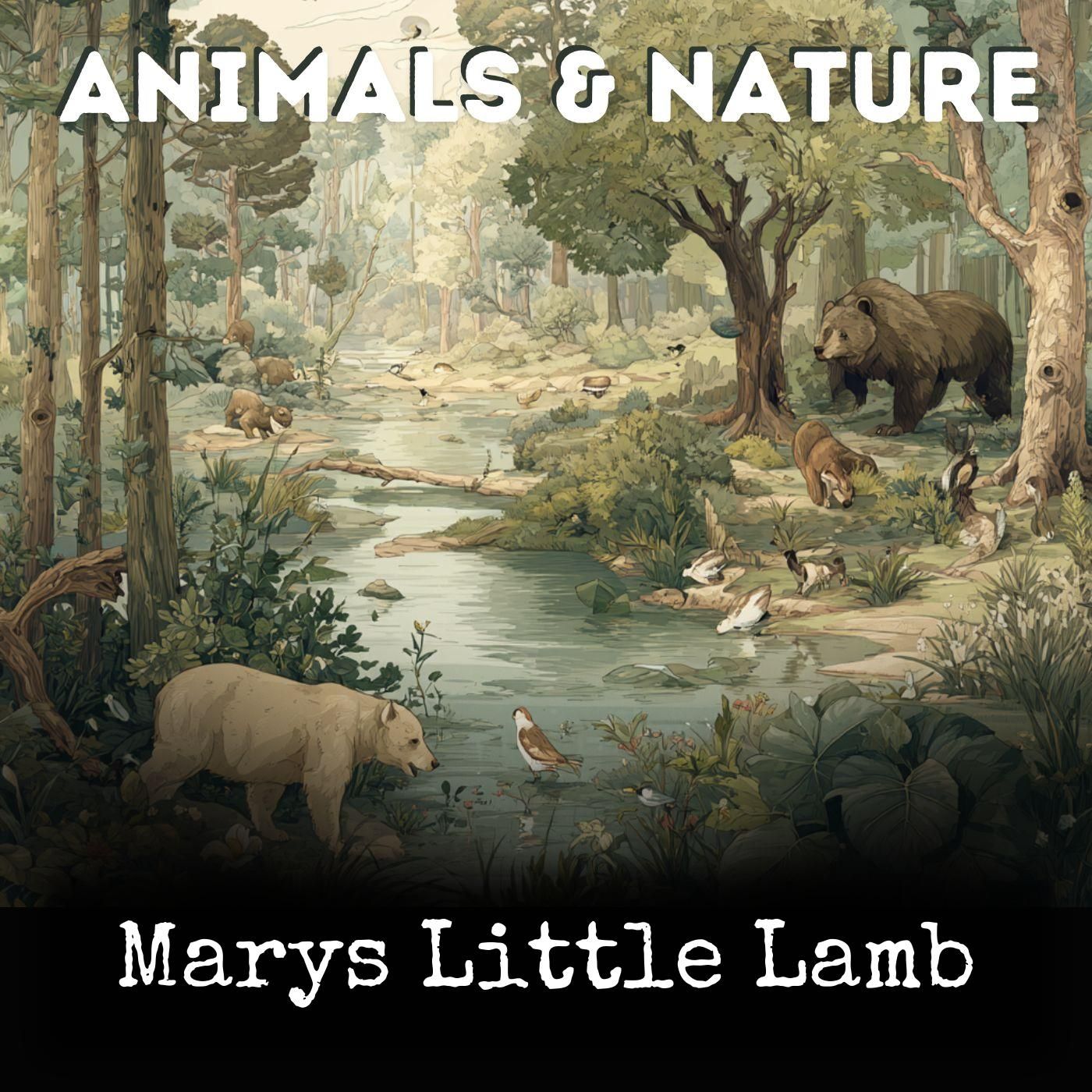 Marys Little Lamb cover art