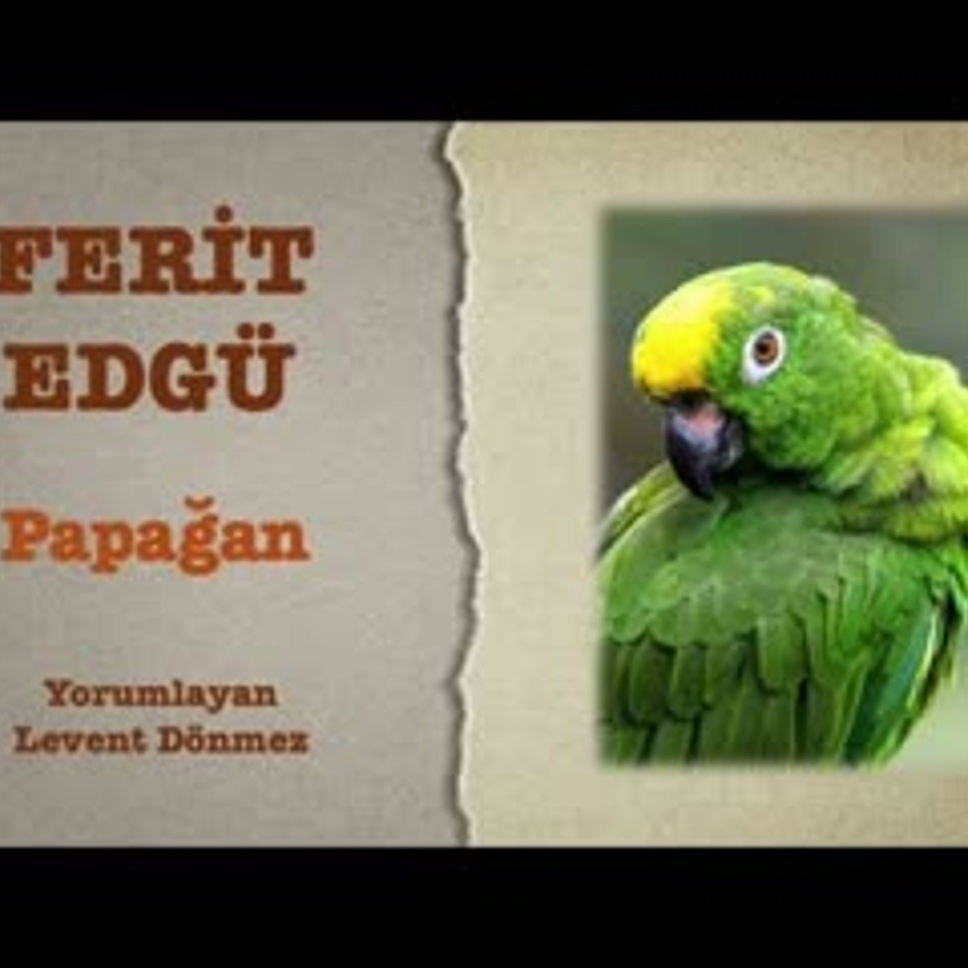 Ferit Edgü - Parrot episode artwork