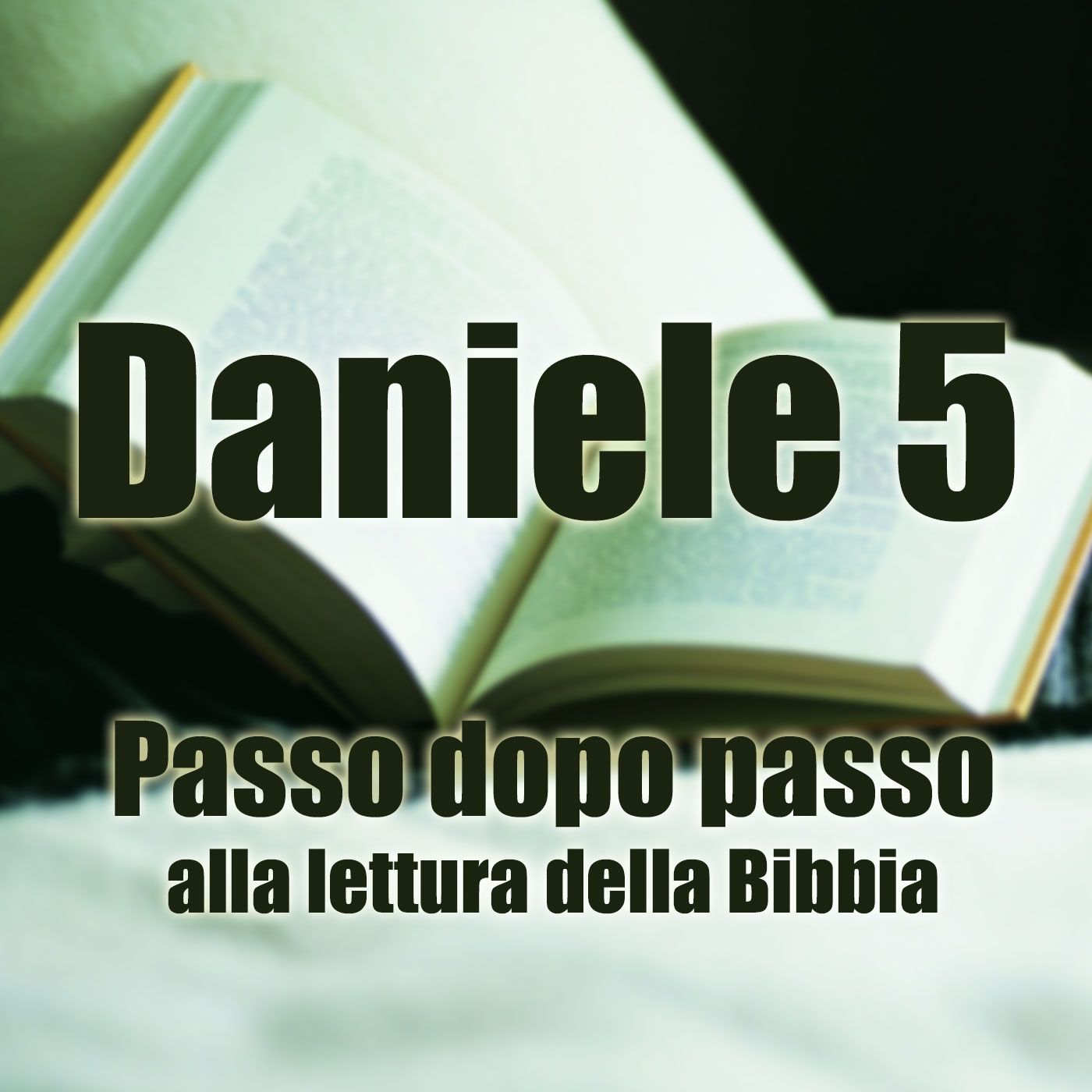 Passo dopo passo alla lettura della Bibbia