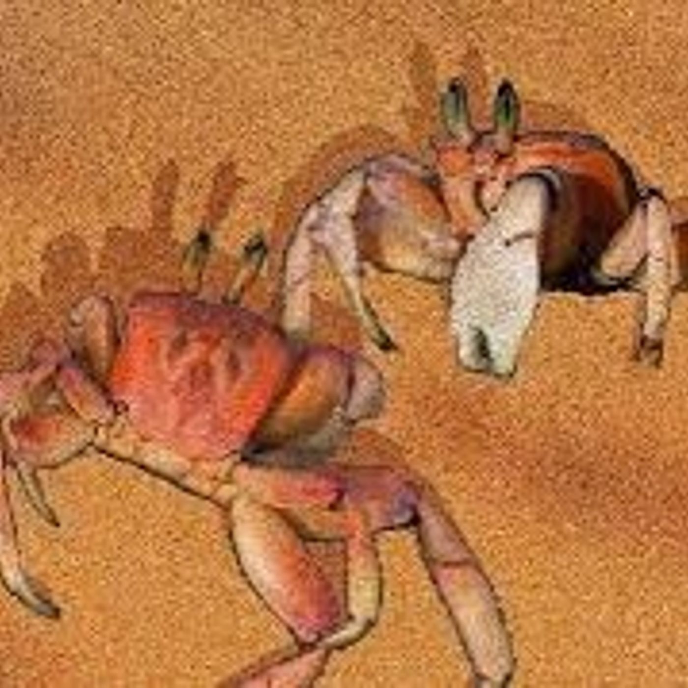 The Crab And It's Mother episode artwork