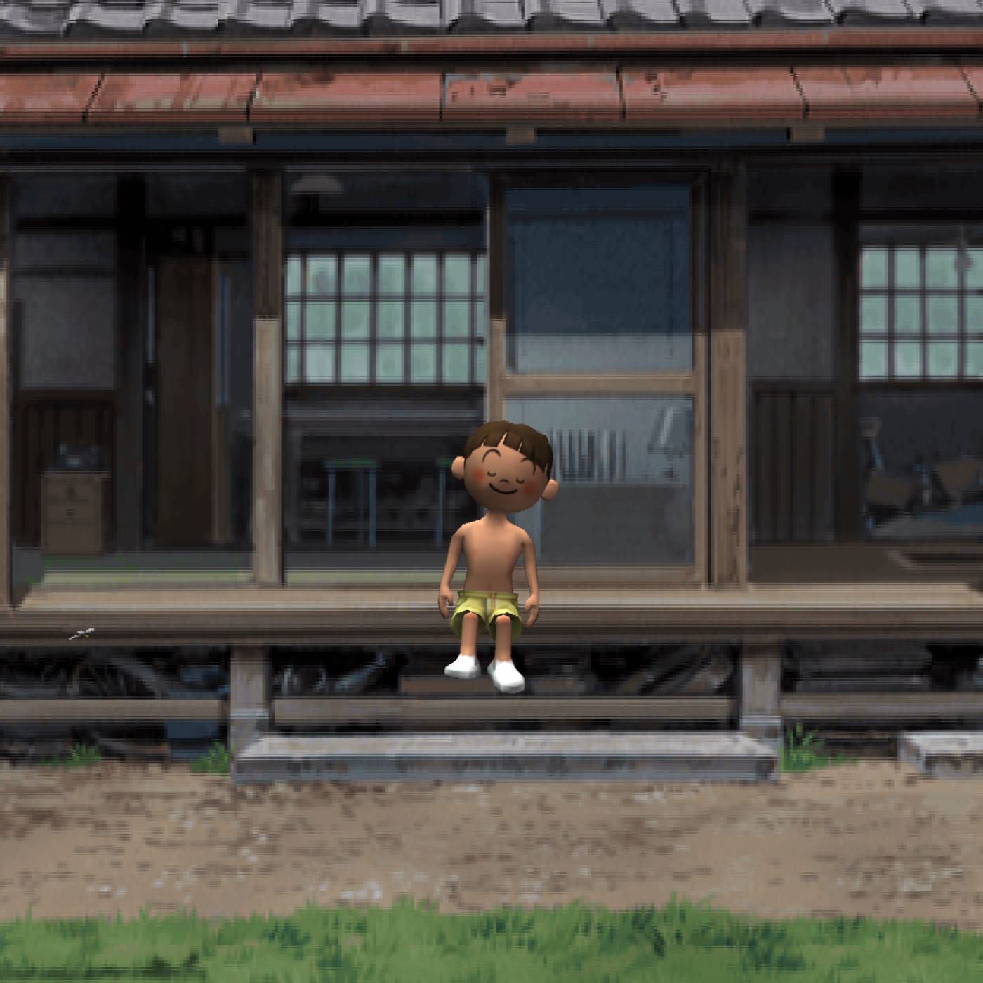 The Boku Diaries cover art