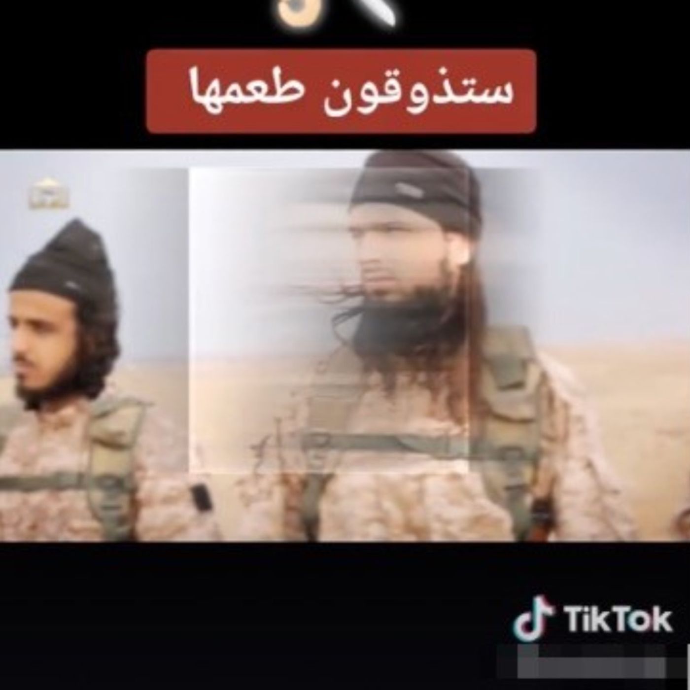 222. How ISIS Got Big on TikTok