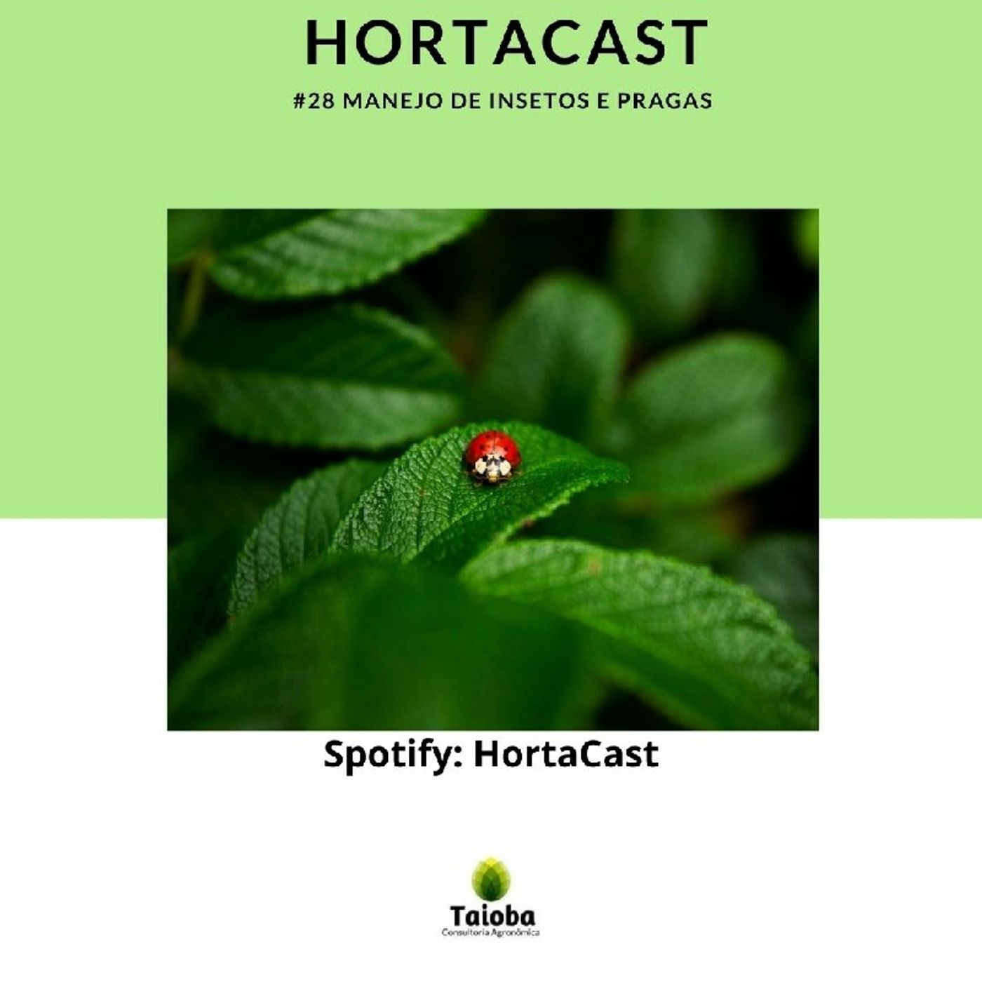 HortaCast\'s show