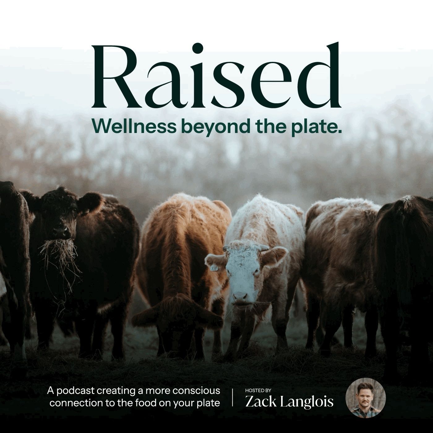 Raised | Wellness Beyond the Plate