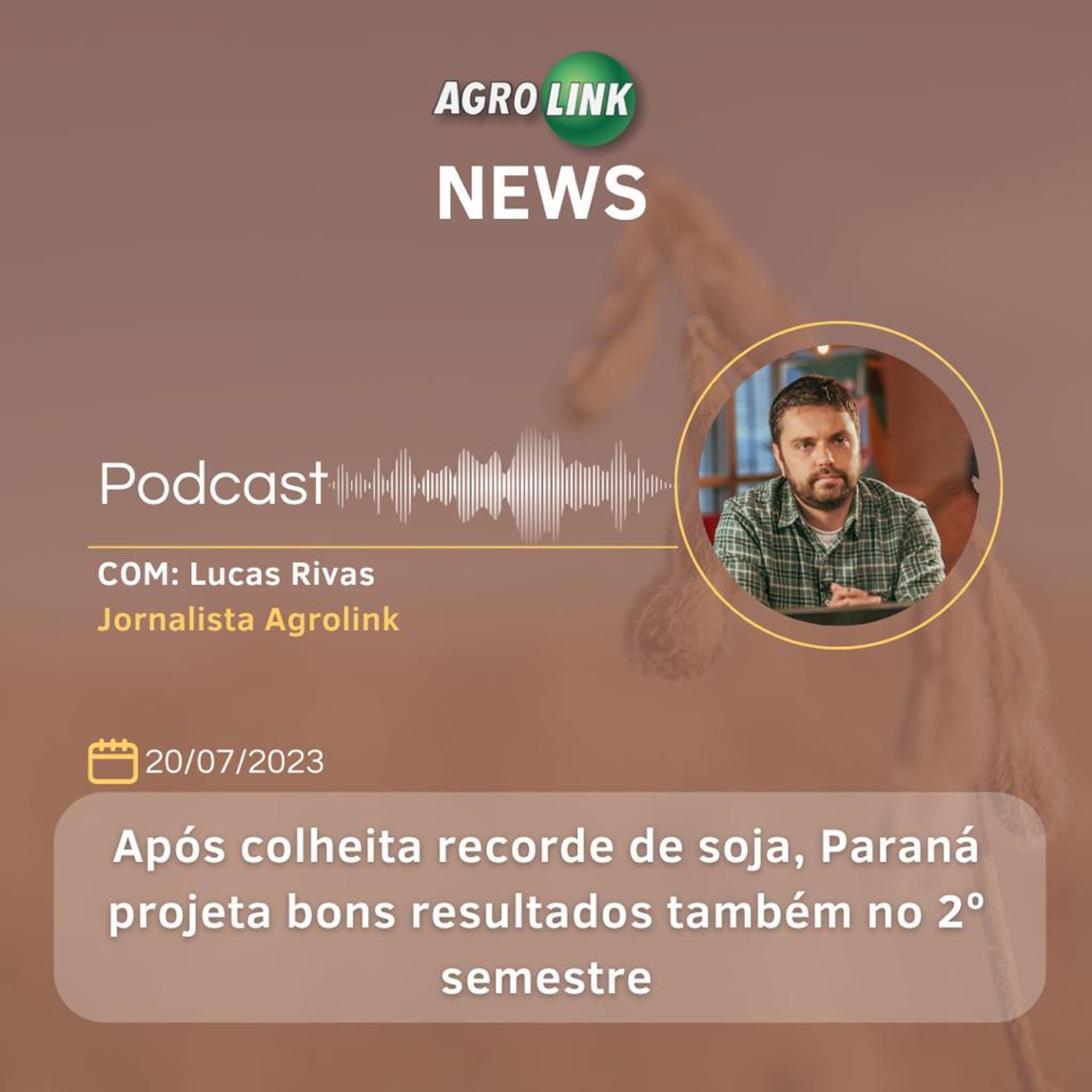 Exportações de ovos crescem 150% no semestre episode artwork