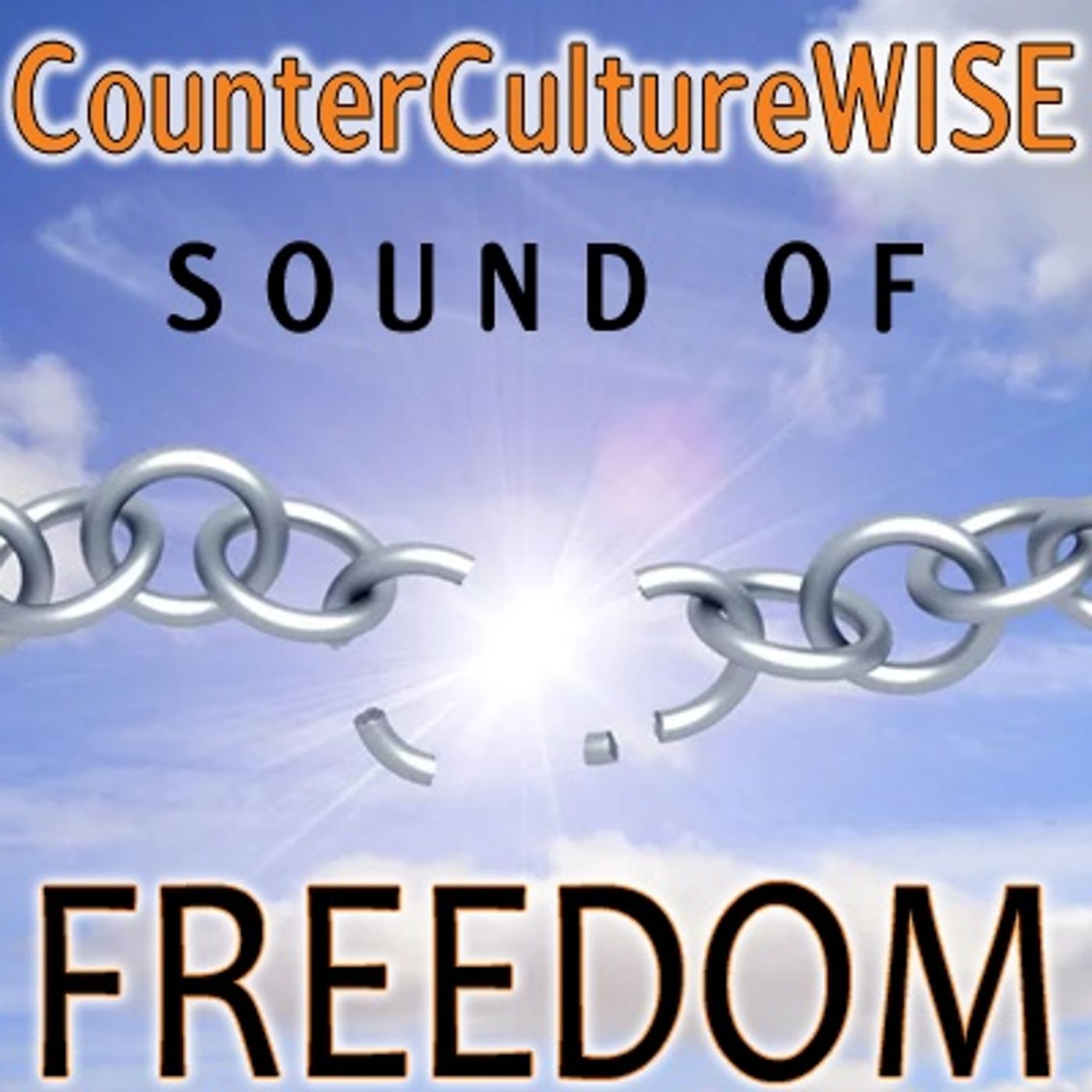 CounterCultureWISE