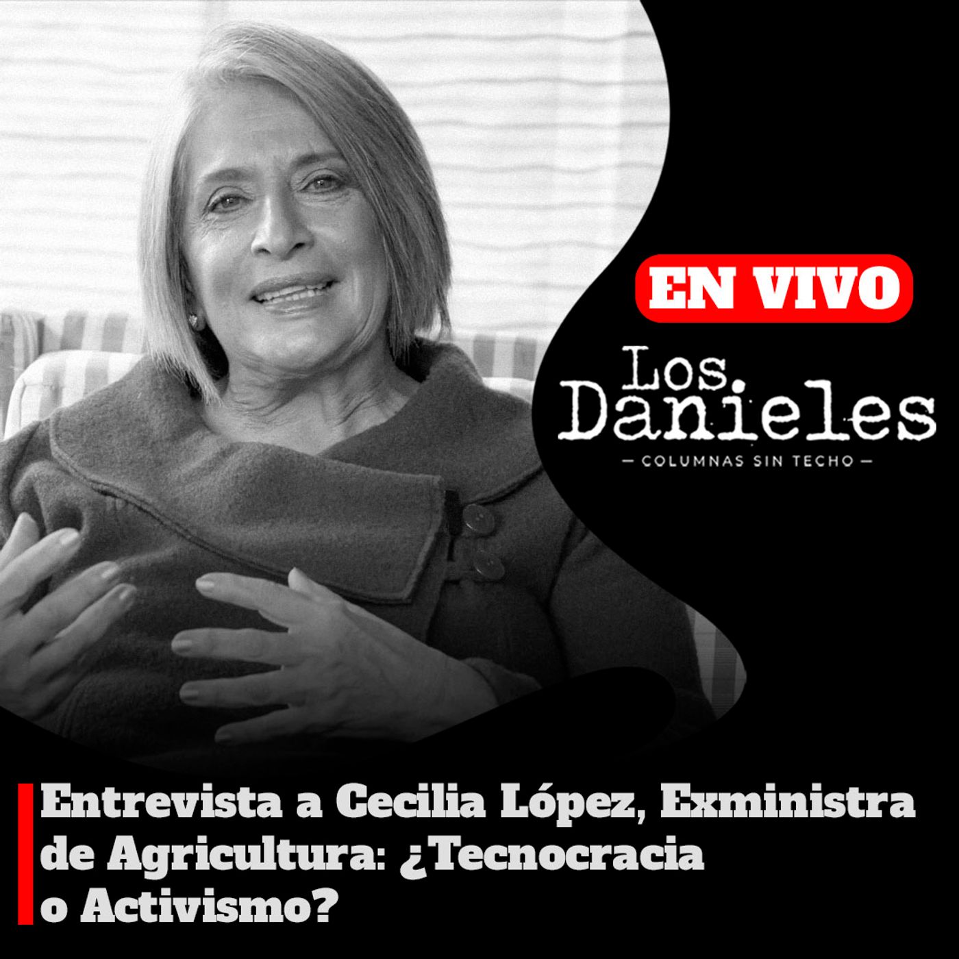Entrevista a Cecilia López, ex ministra de Agricultura : ¿tecnocracia o activismo? episode artwork