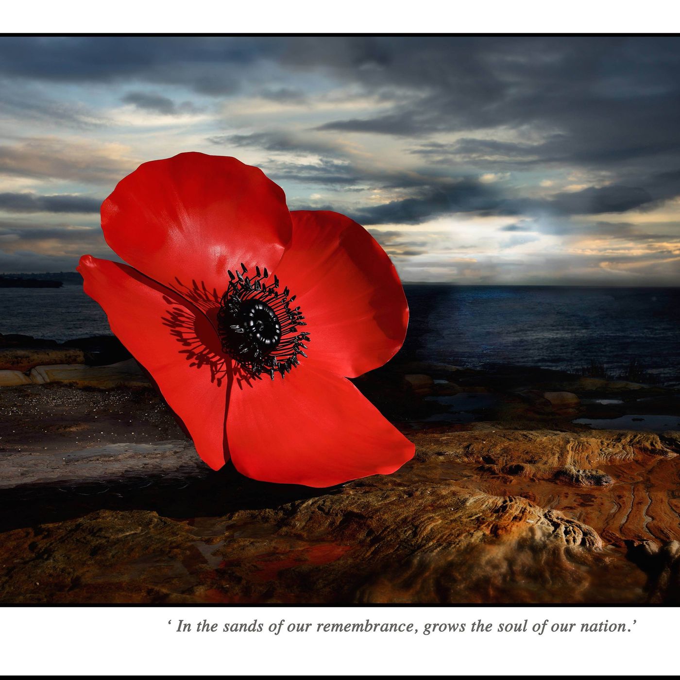 Part 3 "Anzac Day Special" episode artwork