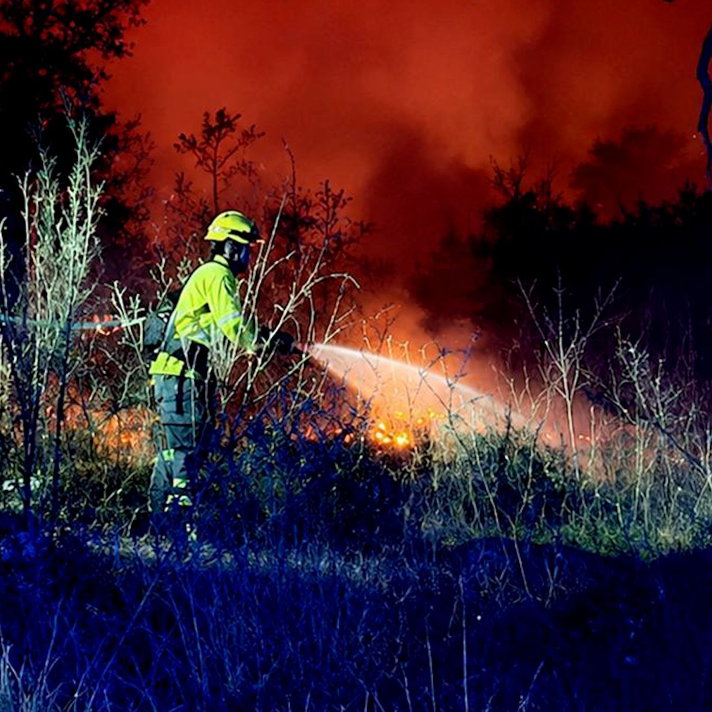 En Clave Rural: El campo exige frenar las leyes forestales restrictivas para poder prevenir los incendios episode artwork