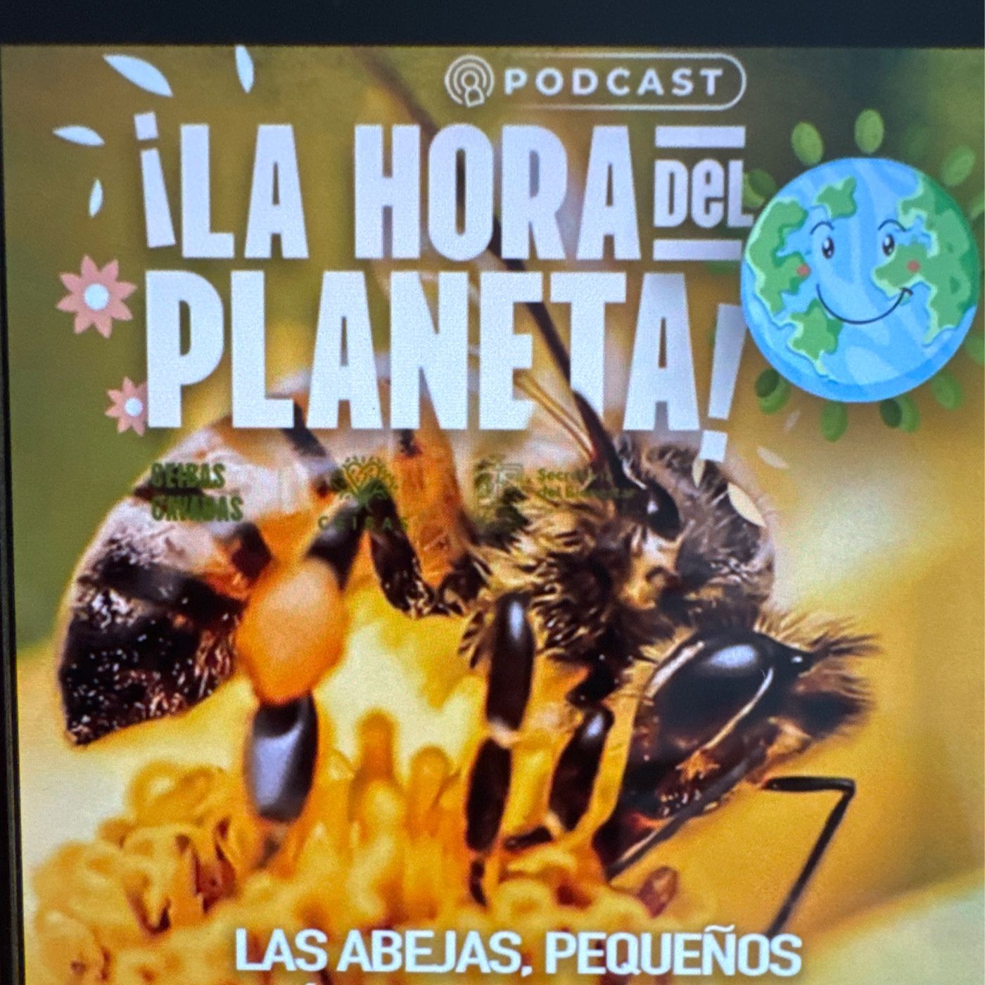 Las Abejas Pequeños Héroes Capítulo 1 podcast artwork