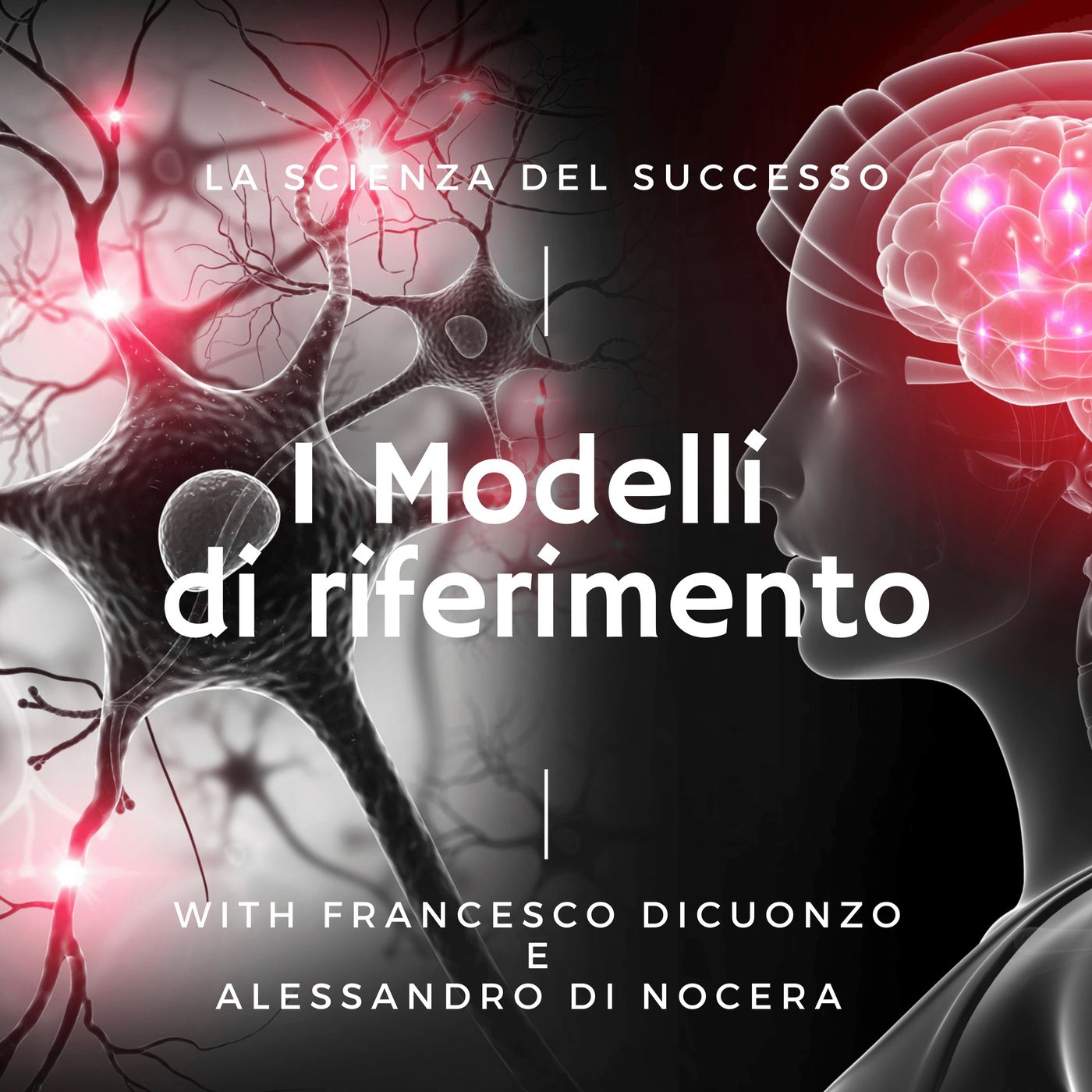 13. I modelli di riferimento