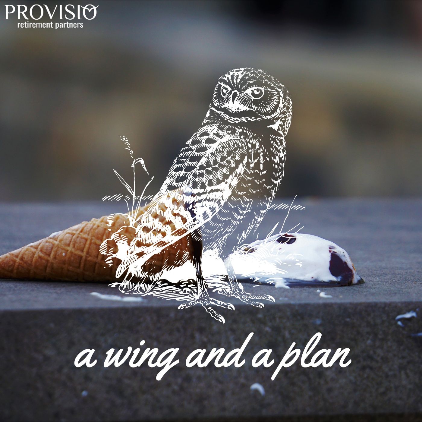 A Wing and a Plan