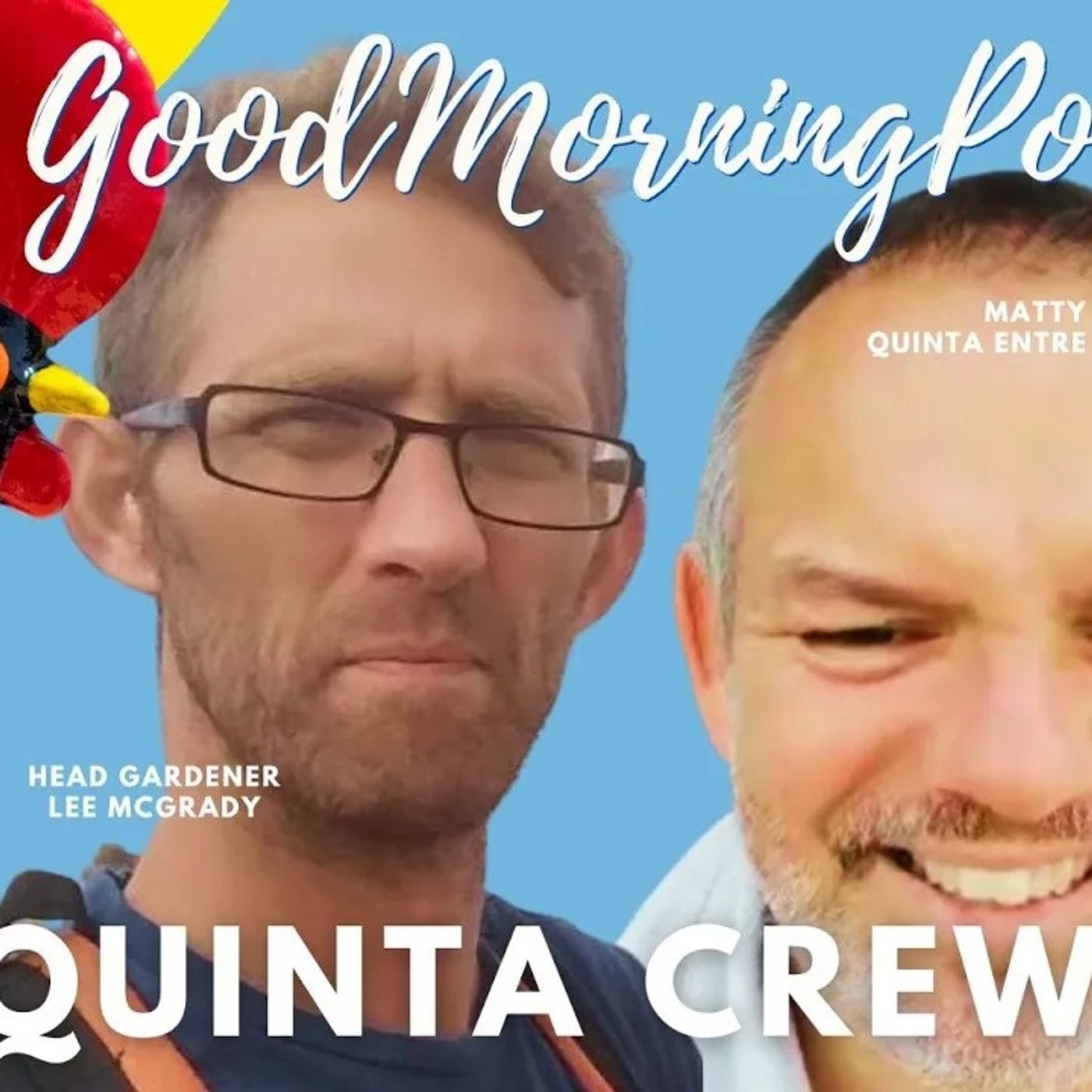 Quinta Crew Update: Lee's Bees, Essencial Food & Work/Life Balance #homesteading #portugal #quintas