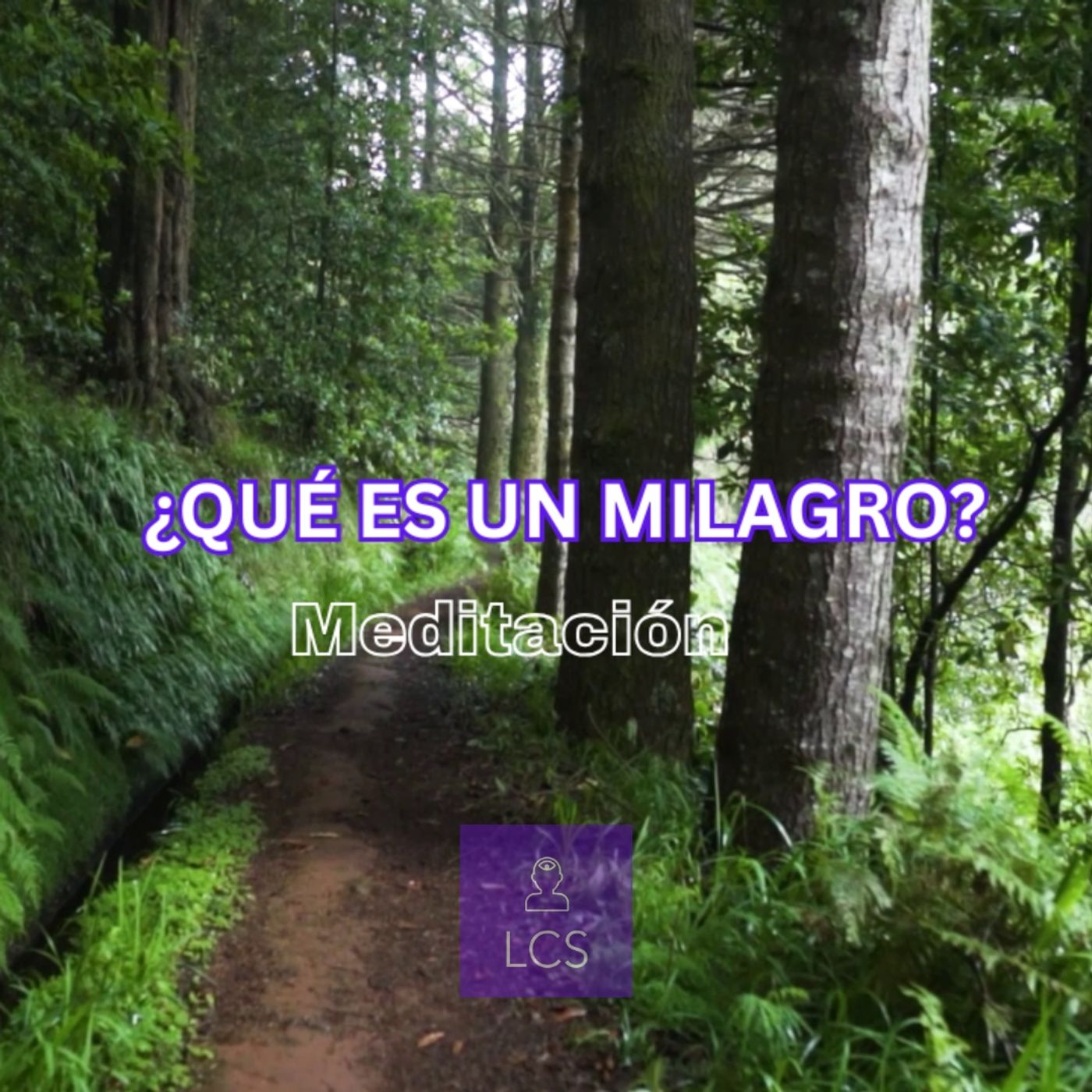 Qué es un Milagro - Meditación Guiada