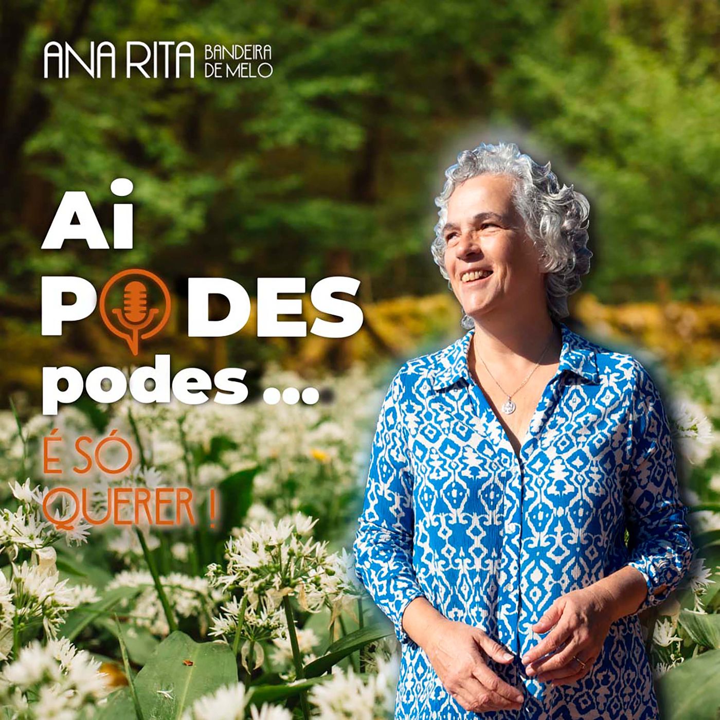 Ai Podes, Podes! É só querer!