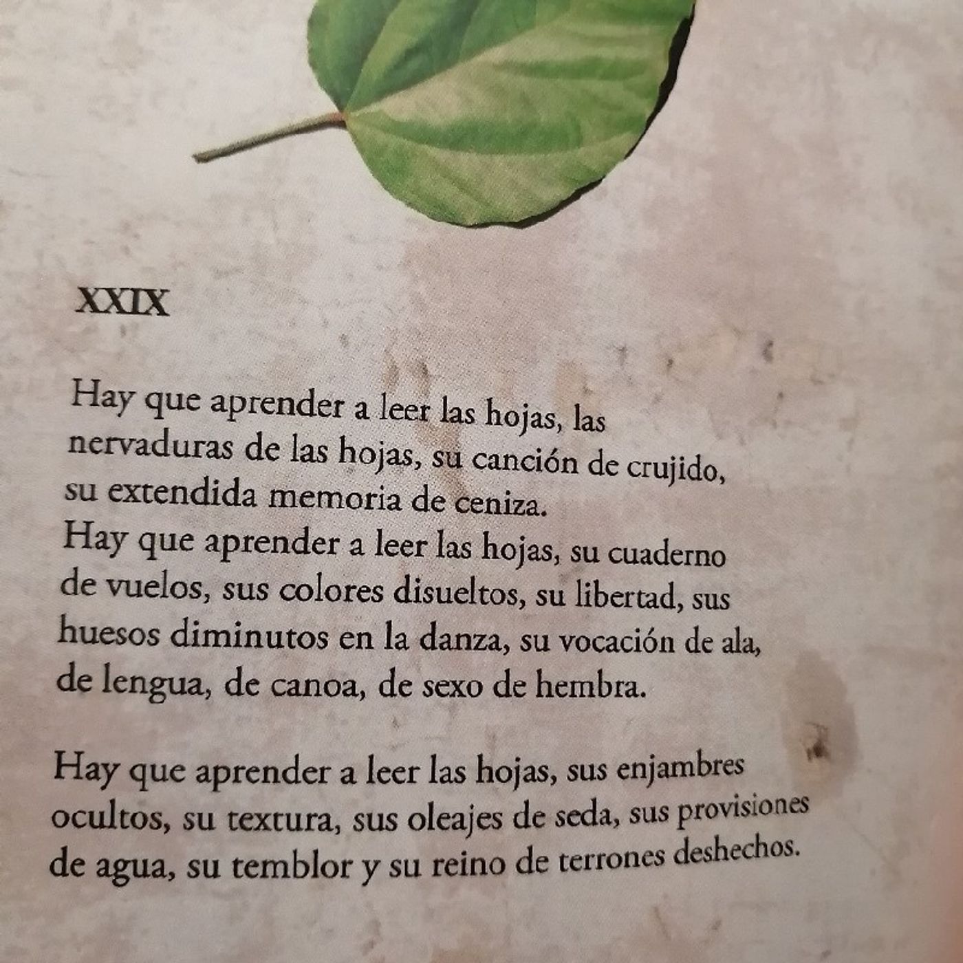 Poesía 📜🎙️👄Afrodita Darqueer