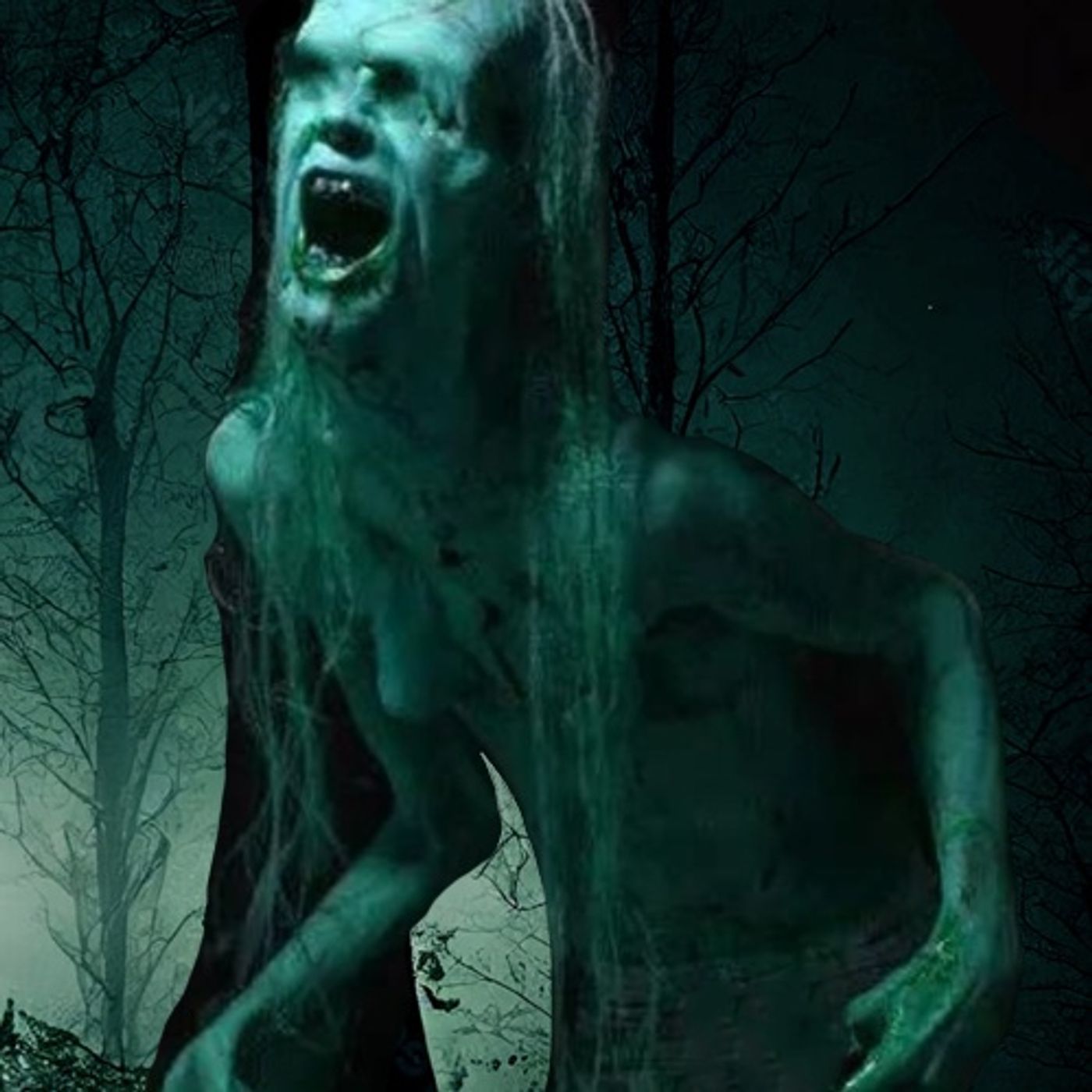 La Casa En El Bosque Historias De Terror - REDE