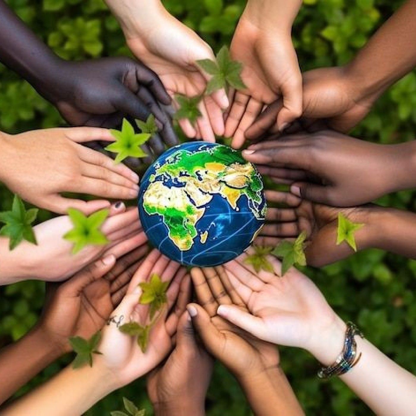 Futuro e ecossistema
