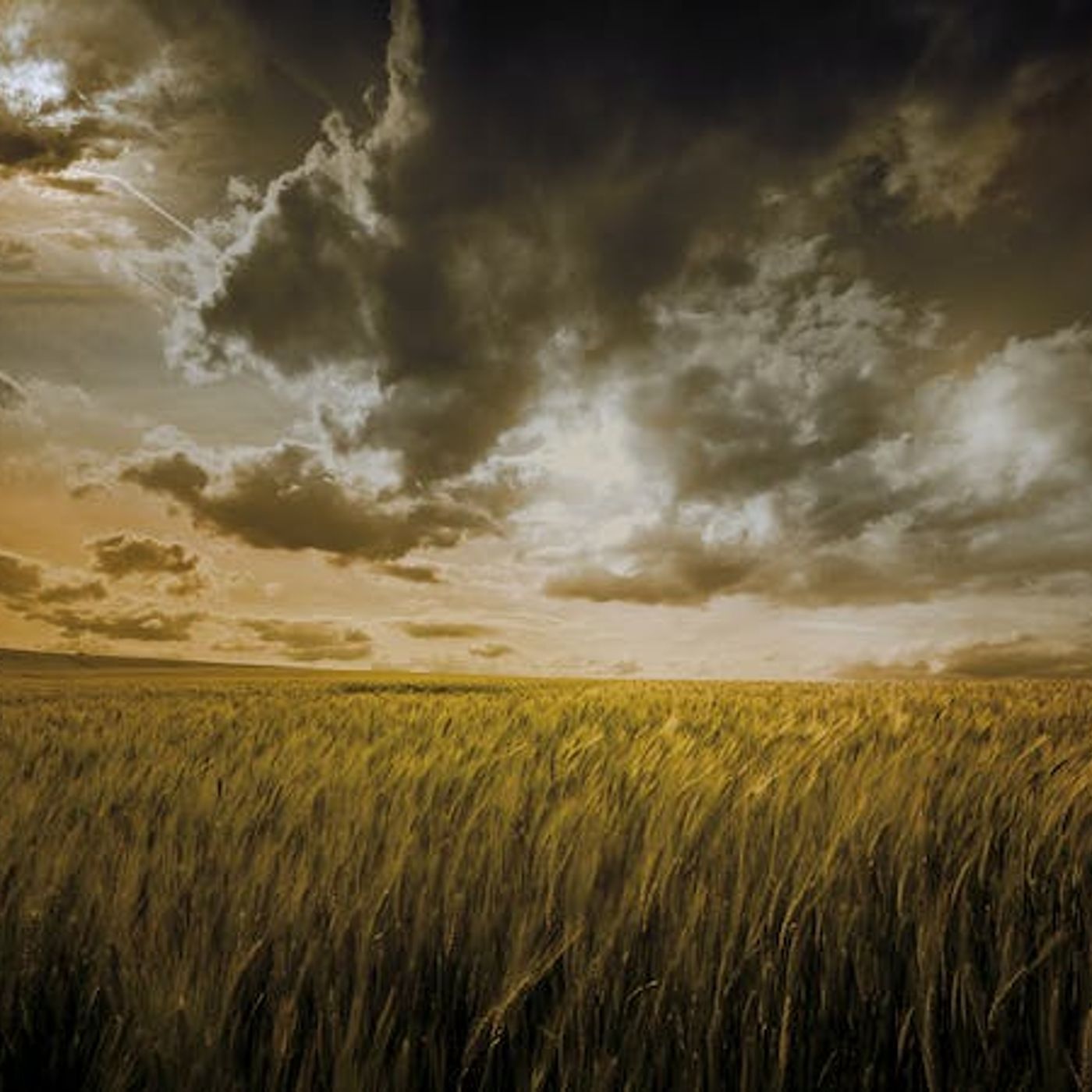 Flee to Christ in Fear