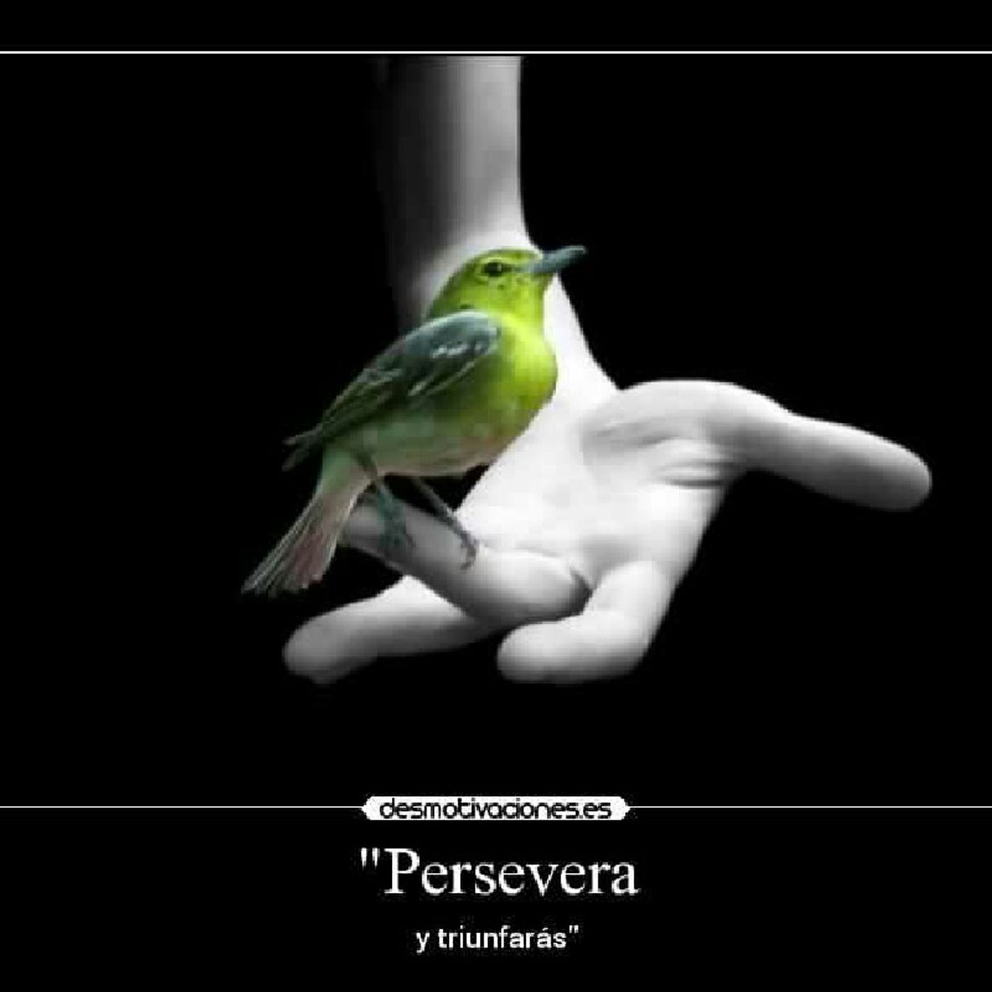 Enseñanos A Perseverar episode artwork