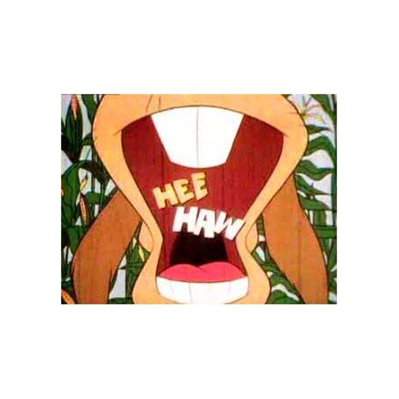 Jana Jae & Her Blue Fiddle, Hee Haw Regular & Buck Owens ex Wife episode artwork